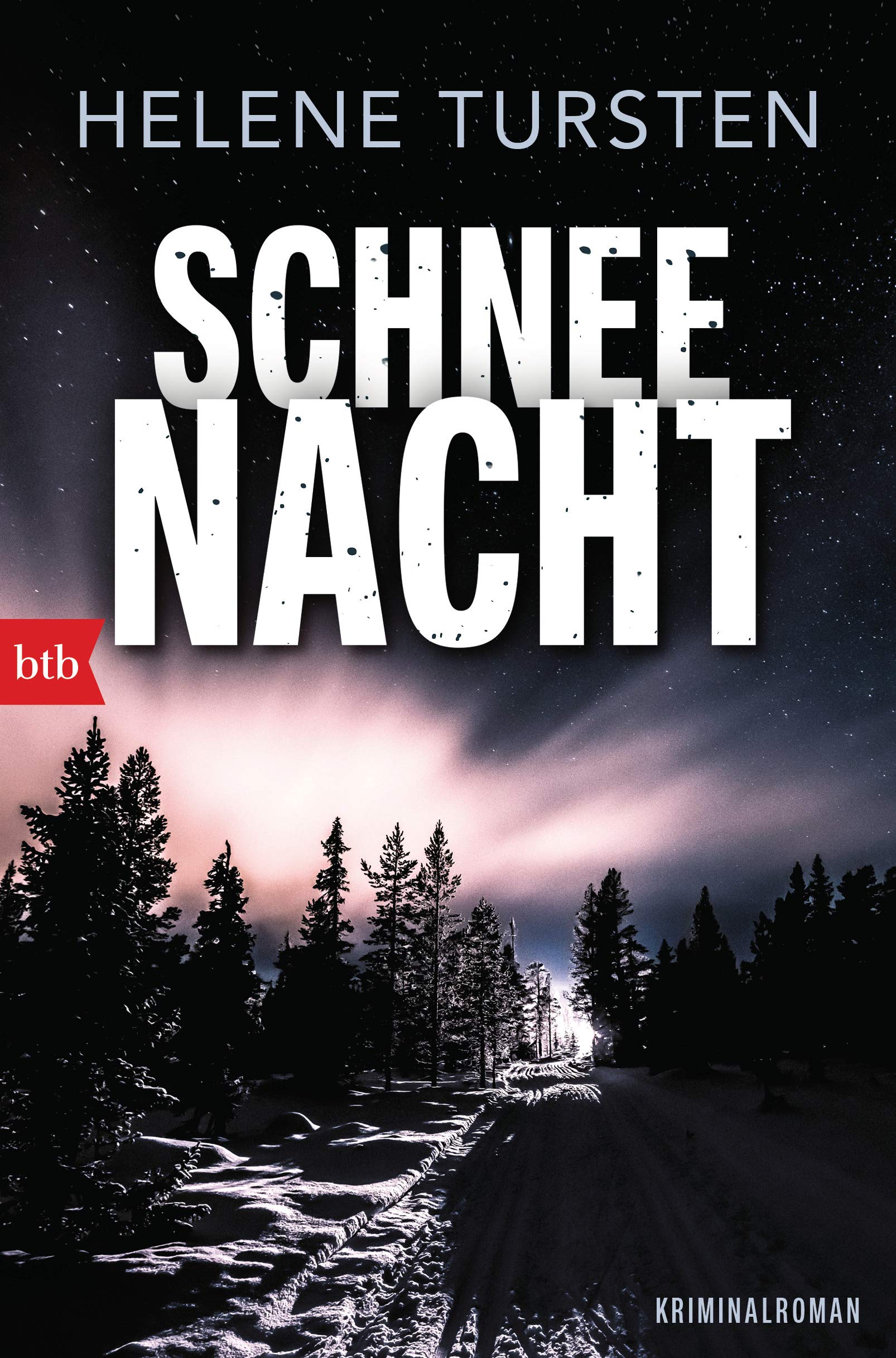 Schneenacht Contemporary literature Books
