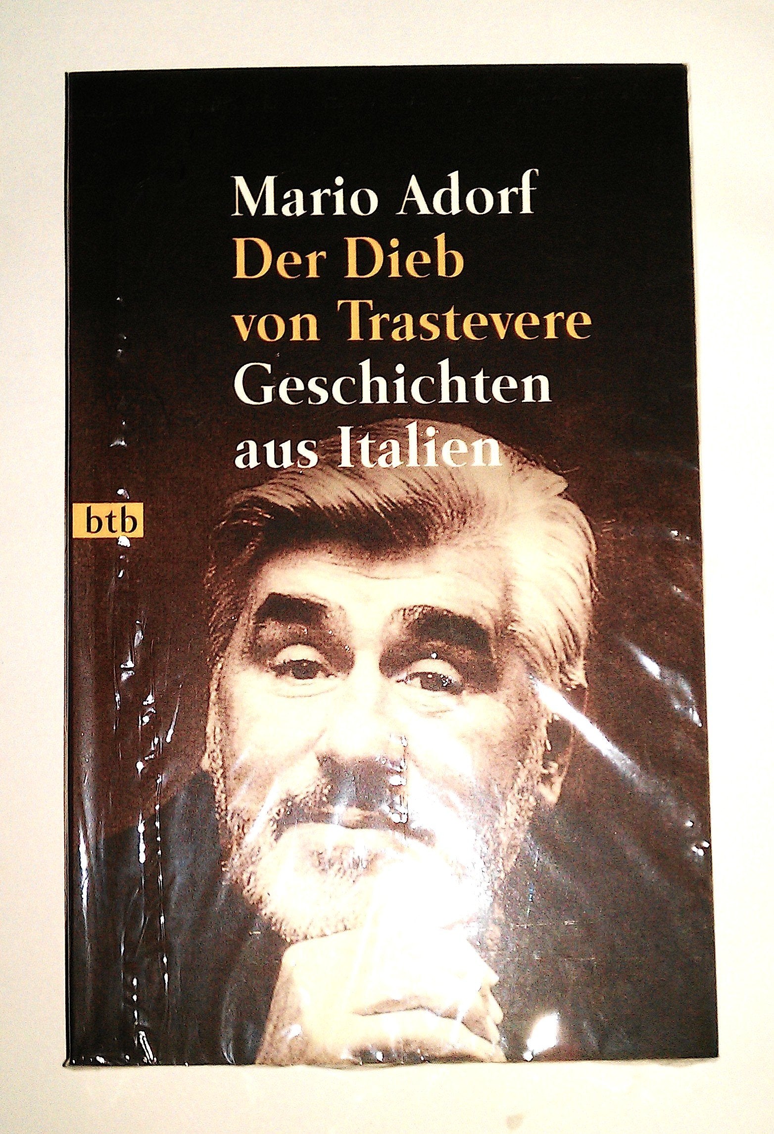 Der Dieb von Trastevere: Geschichten aus Italien Contemporary literature