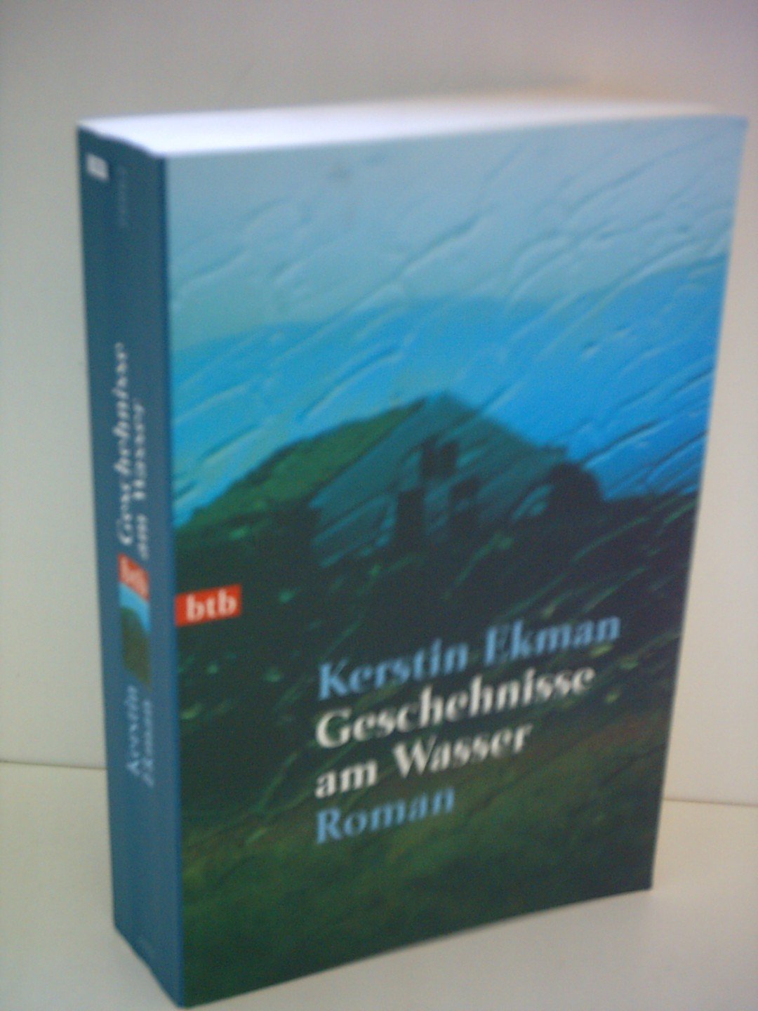 Geschehnisse am Wasser: Roman Contemporary literature