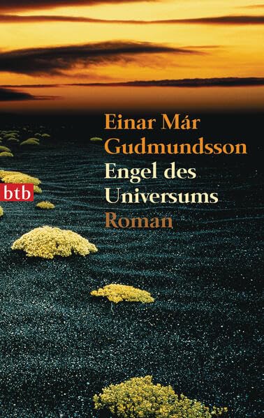 Engel des Universums: Roman Contemporary literature