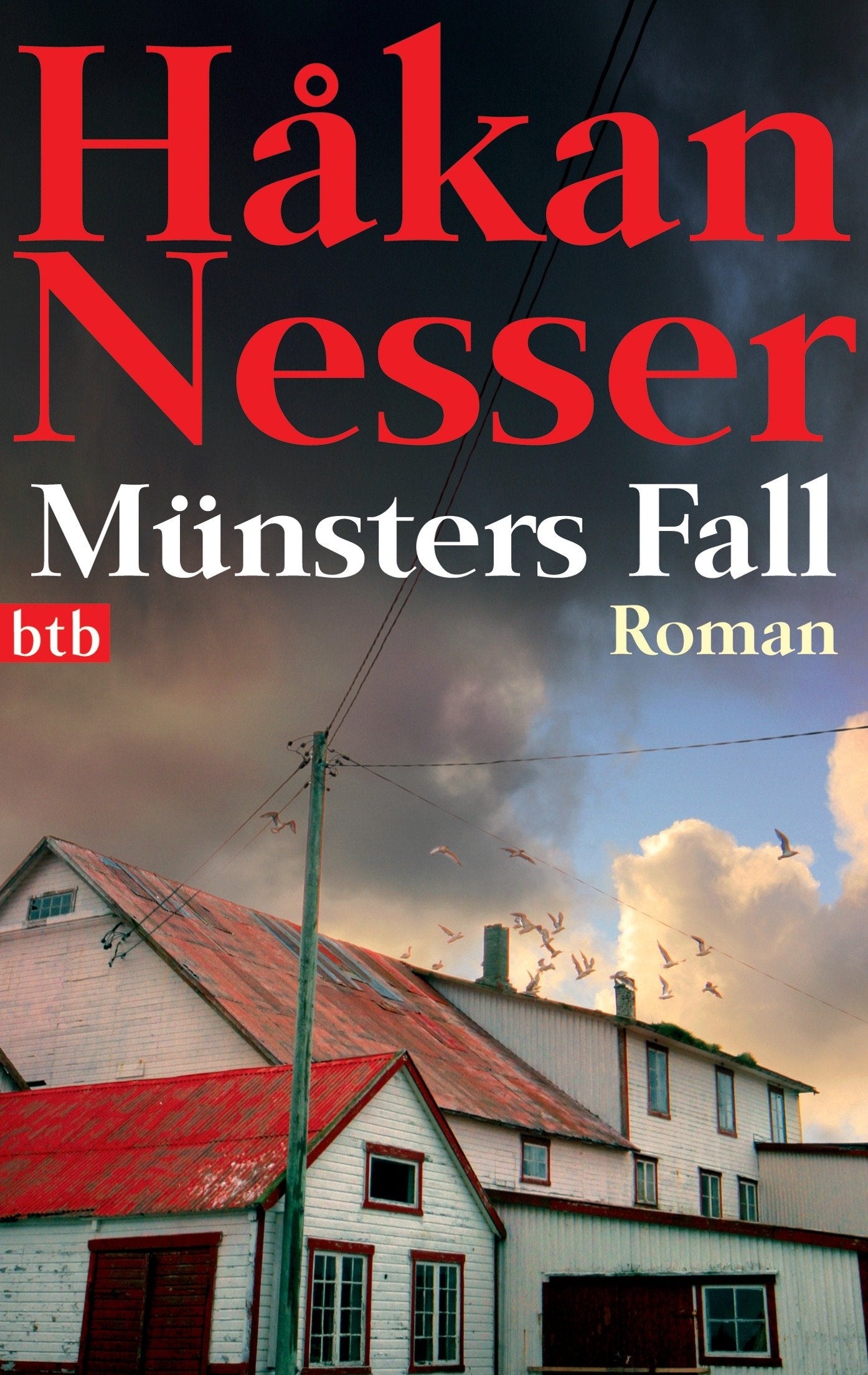 Münsters Fall: Roman (Die Van-Veeteren-Krimis, Band 6) Action & Adventure