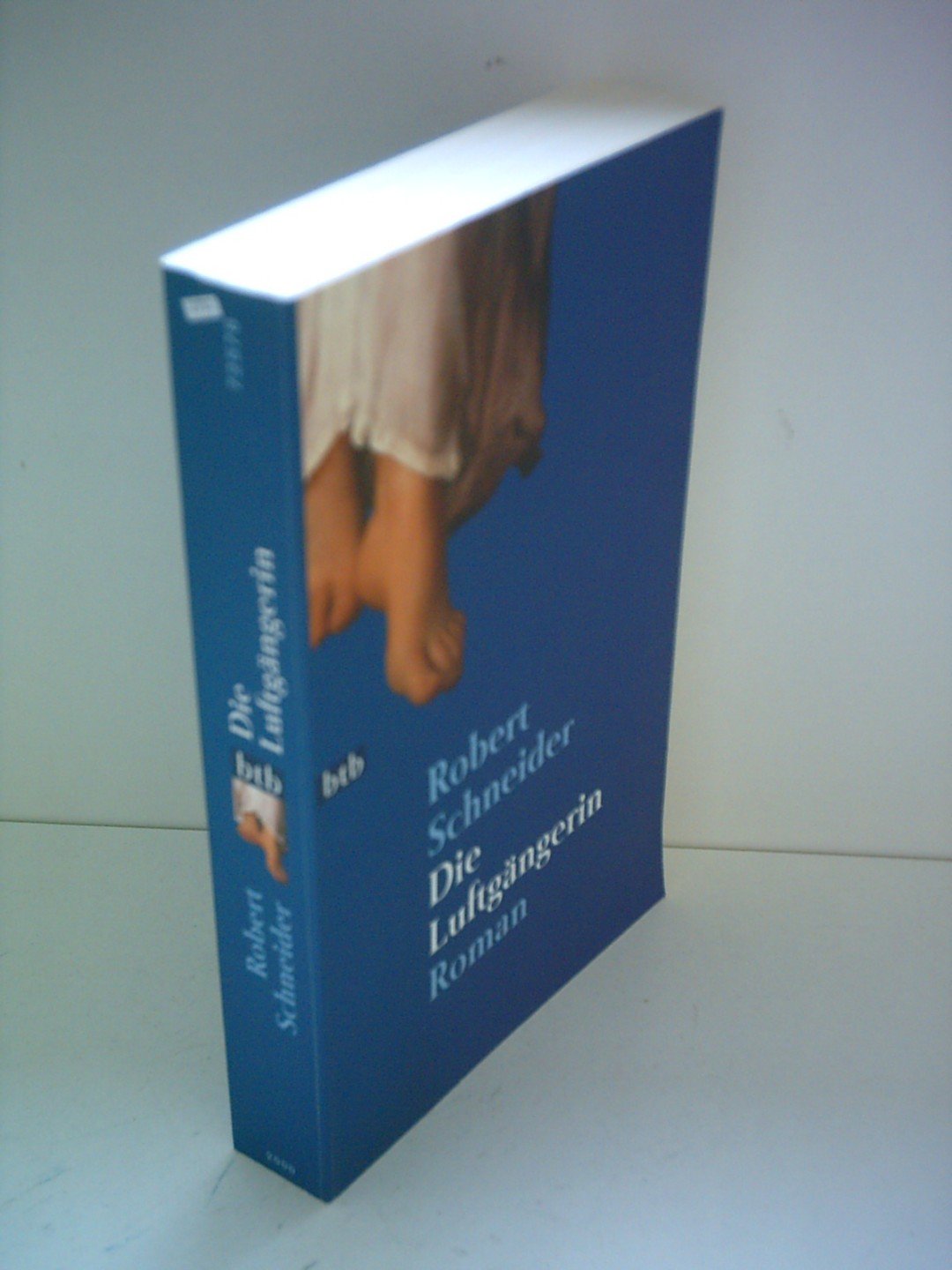 Die Luftgängerin Contemporary literature Books