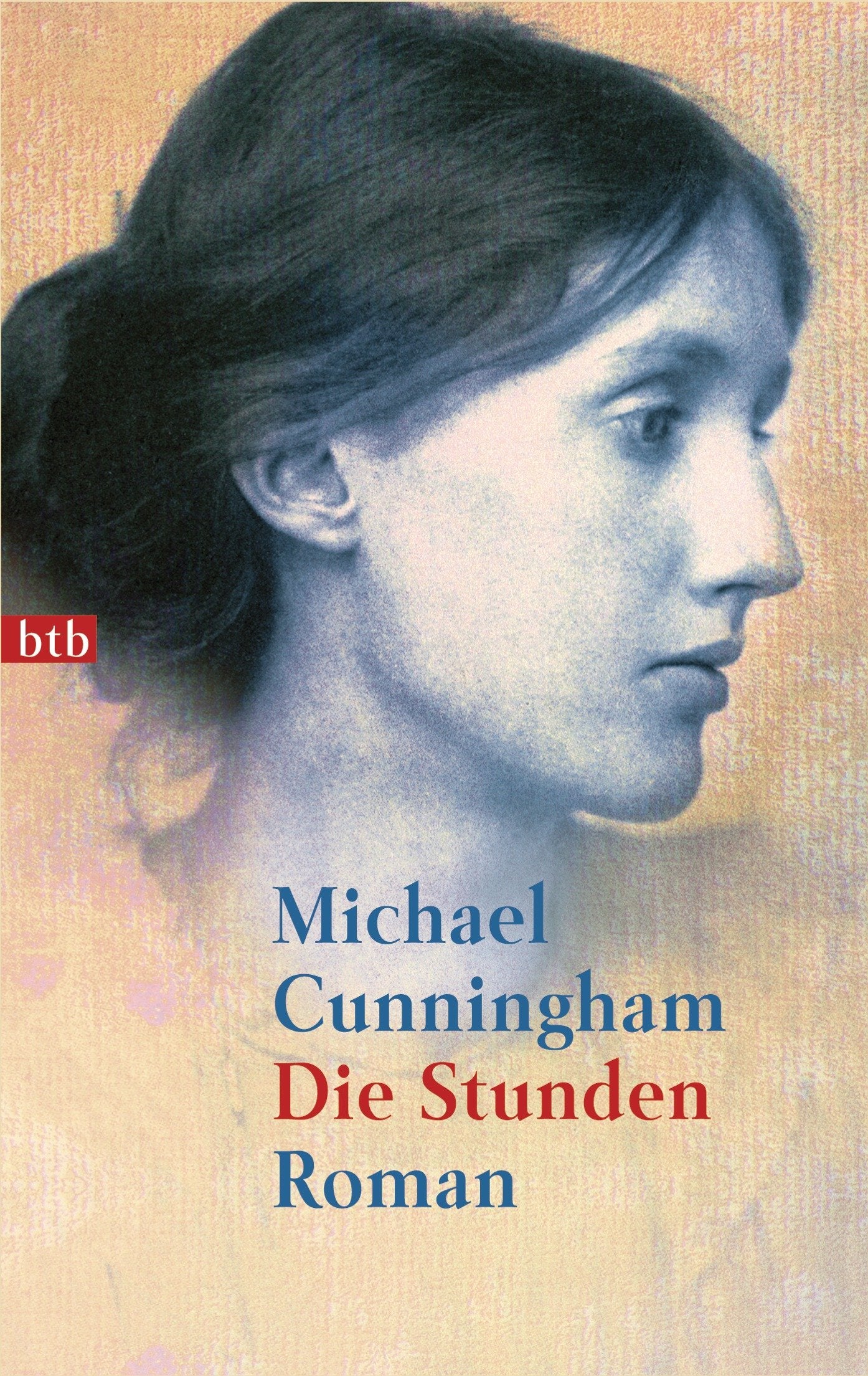 Die Stunden Contemporary literature Books