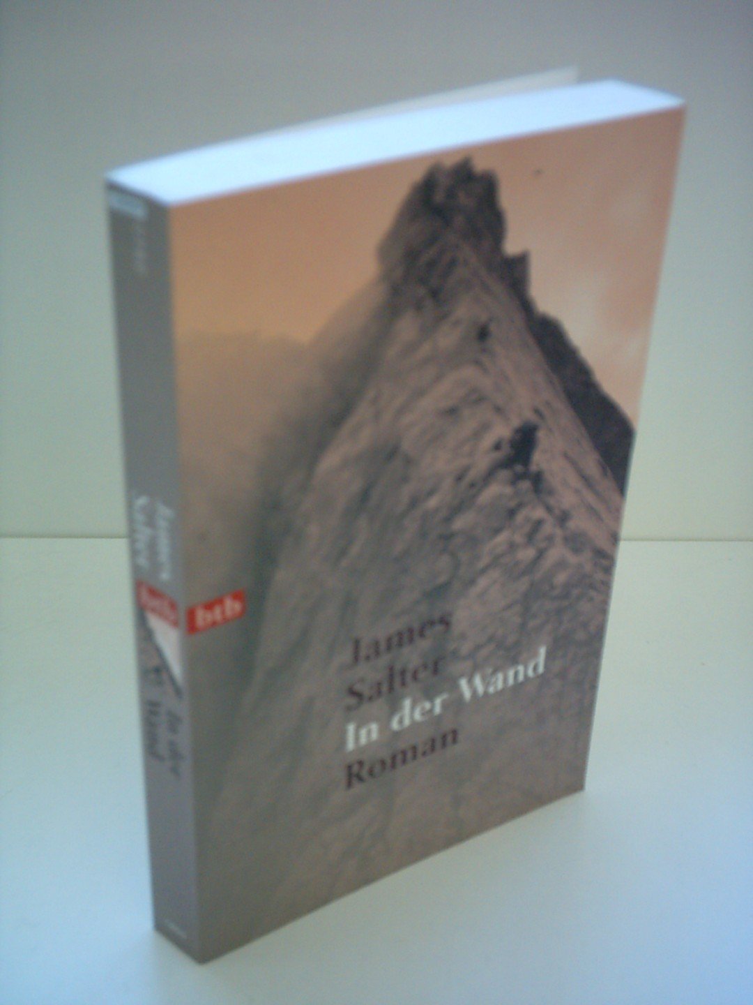 In der Wand: Roman Books