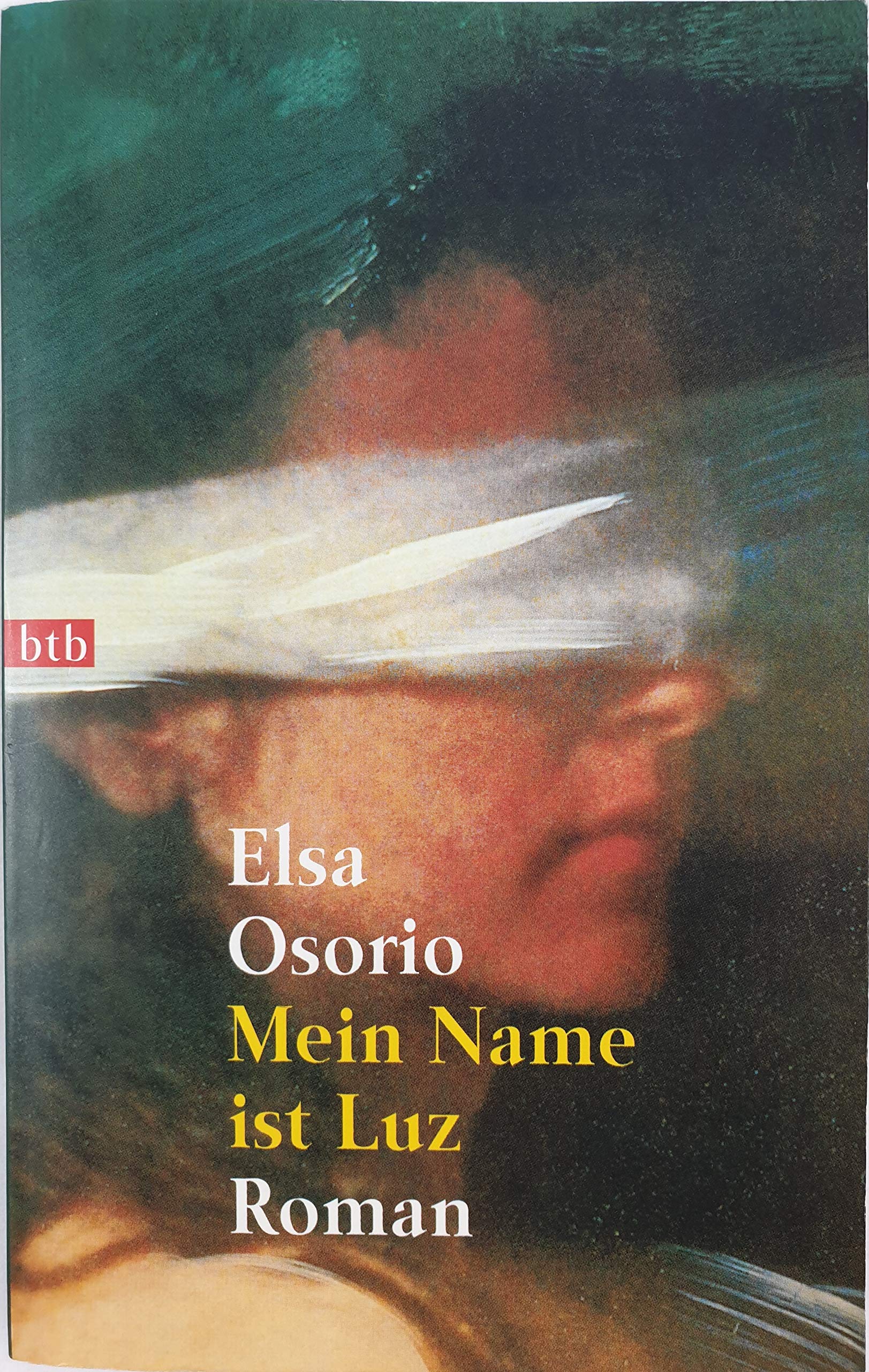 Mein Name ist Luz: Roman (btb-TB) Contemporary literature