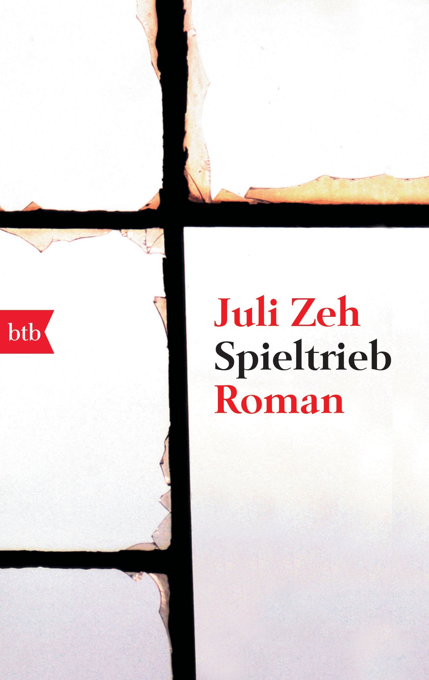 Spieltrieb Contemporary literature Books
