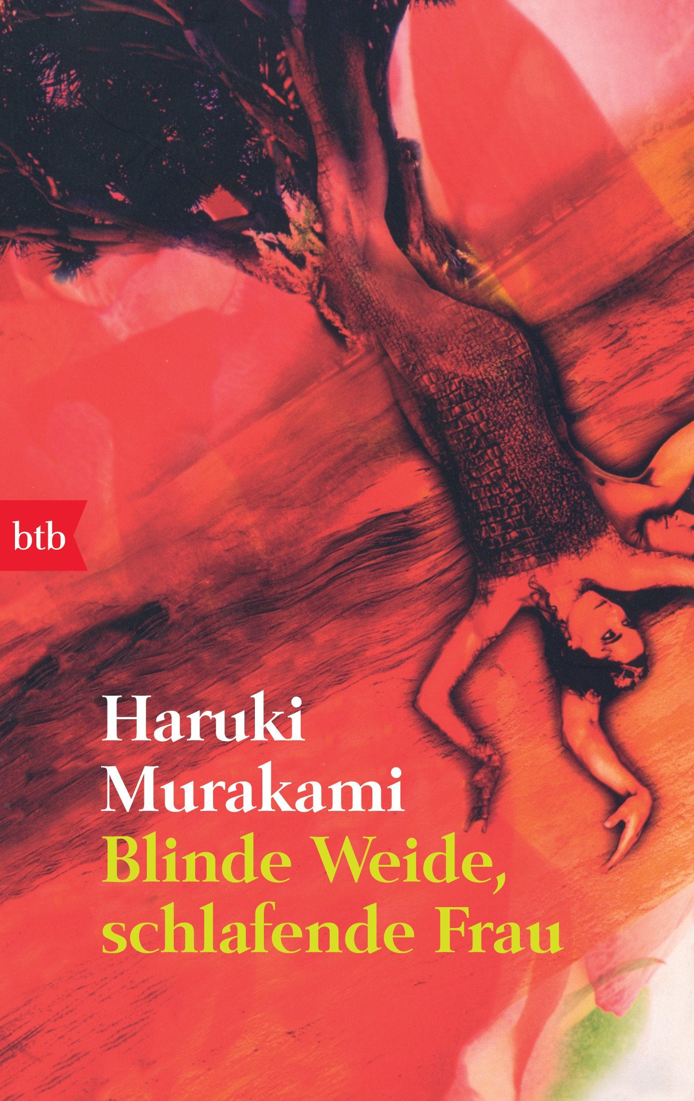 Blinde Weide, schlafende Frau Essays & Short Stories