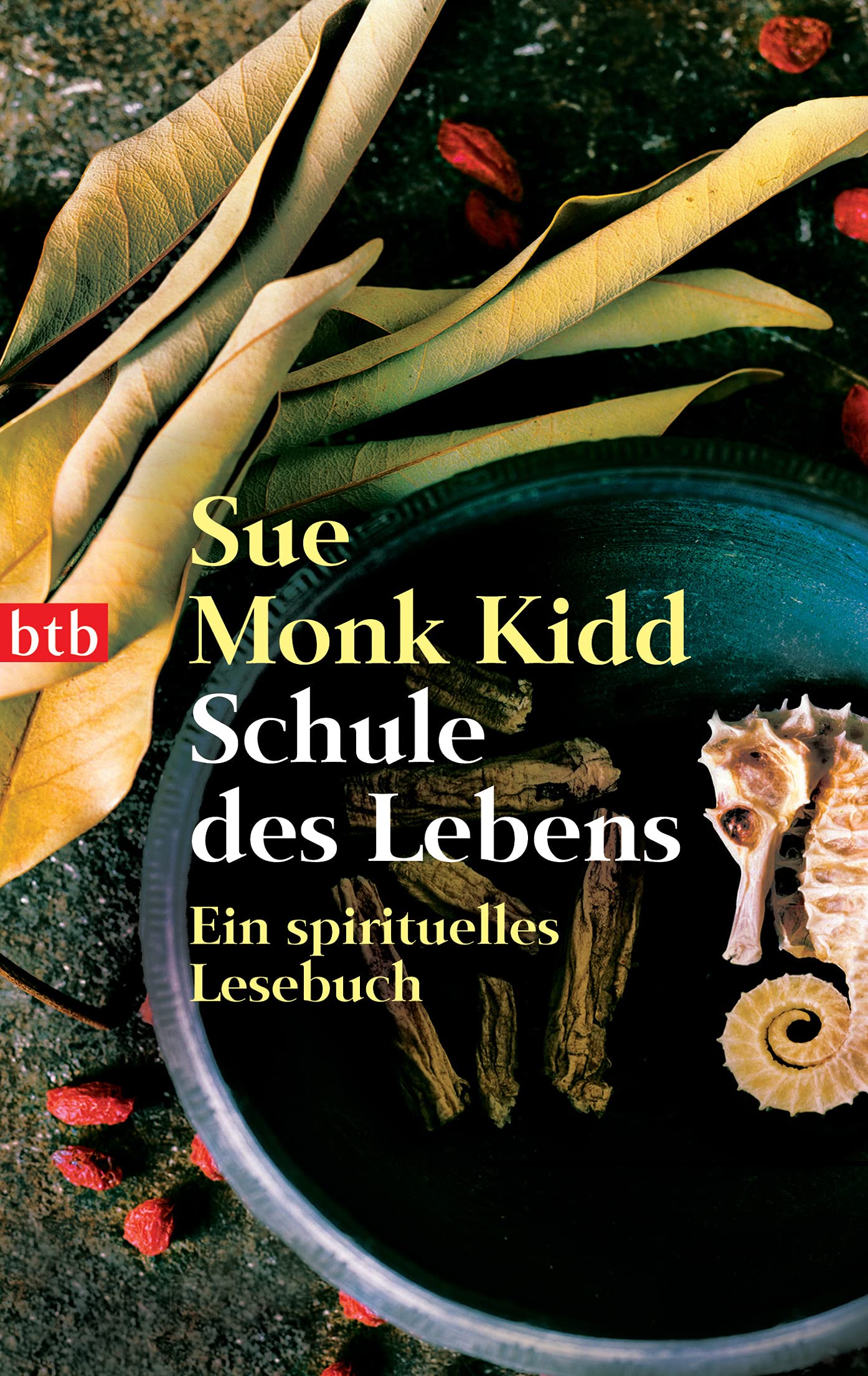 Product Image: Schule des Lebens