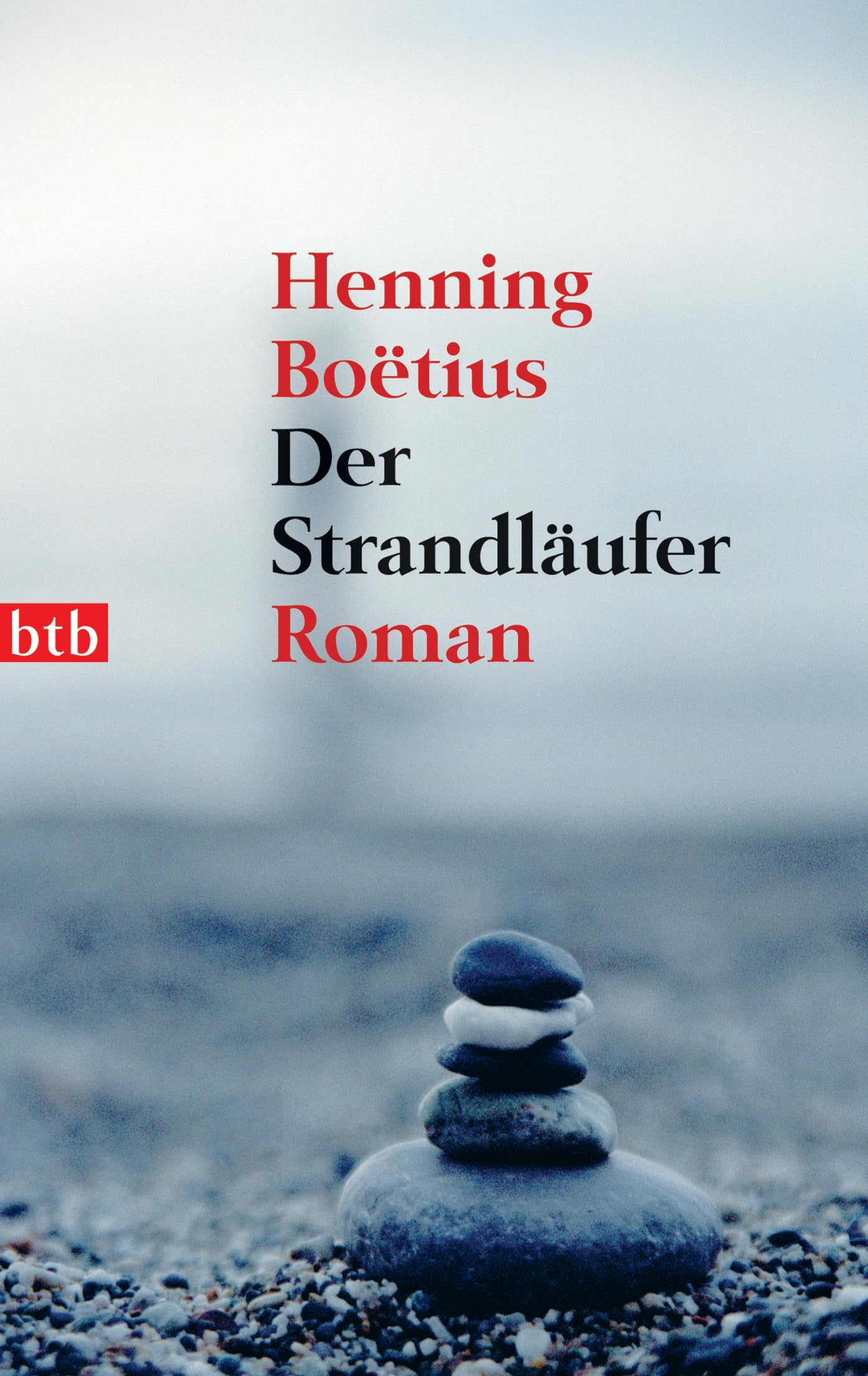 Der Strandläufer Contemporary literature Books