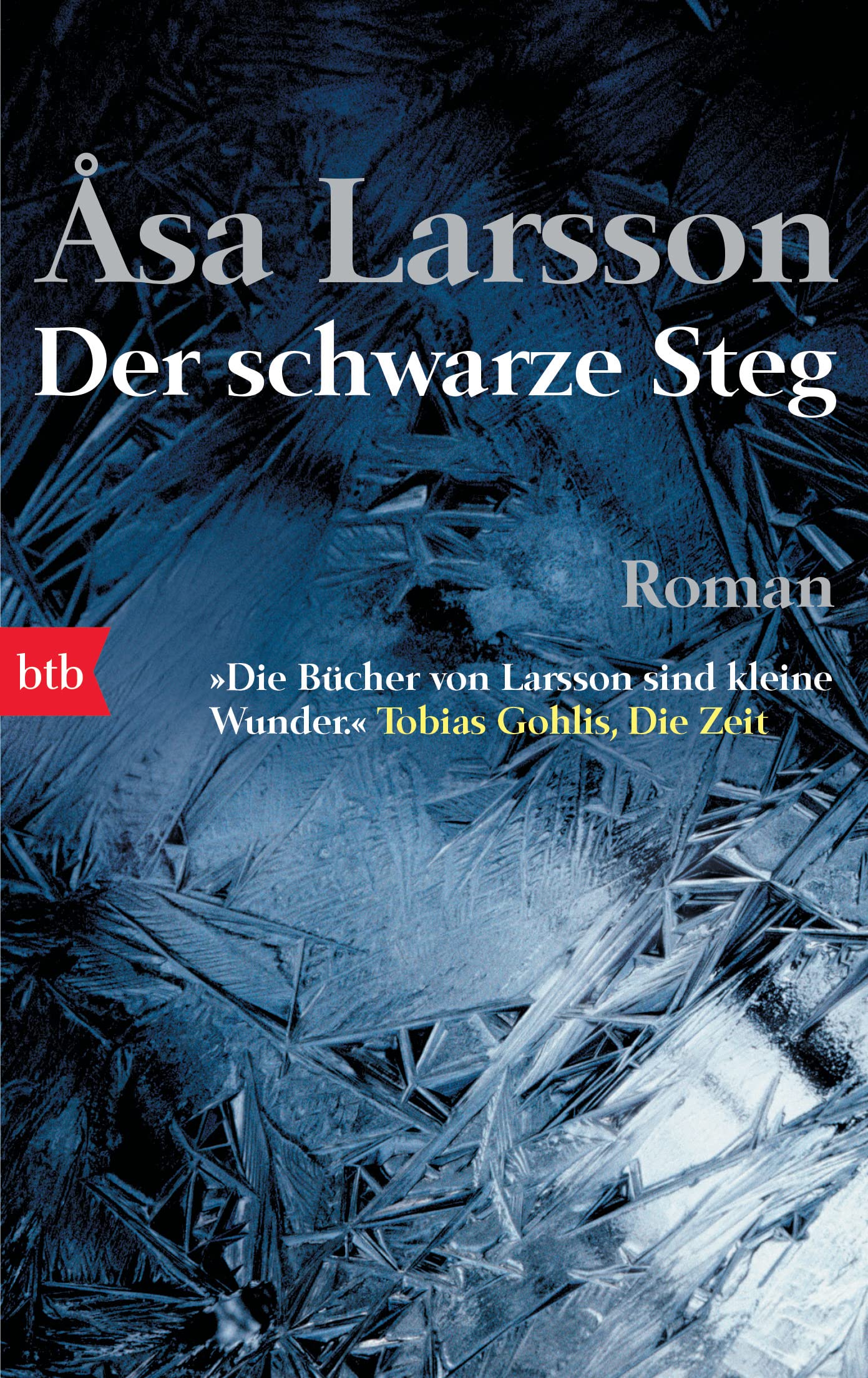 Der schwarze Steg Contemporary literature Books