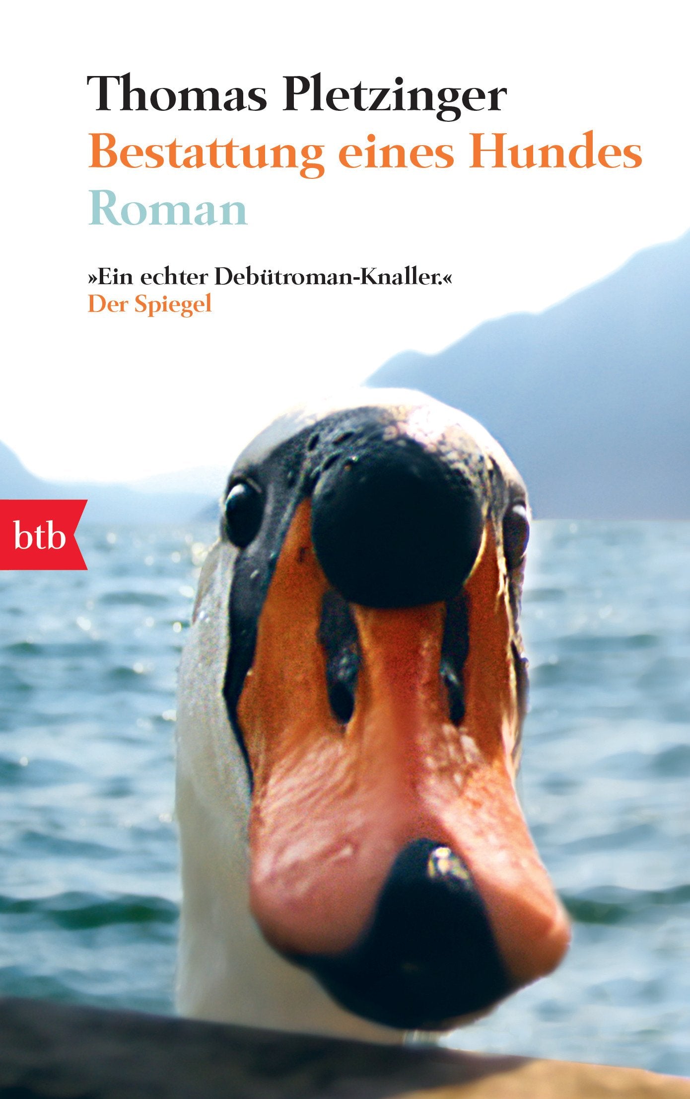 Product Image: Bestattung eines Hundes