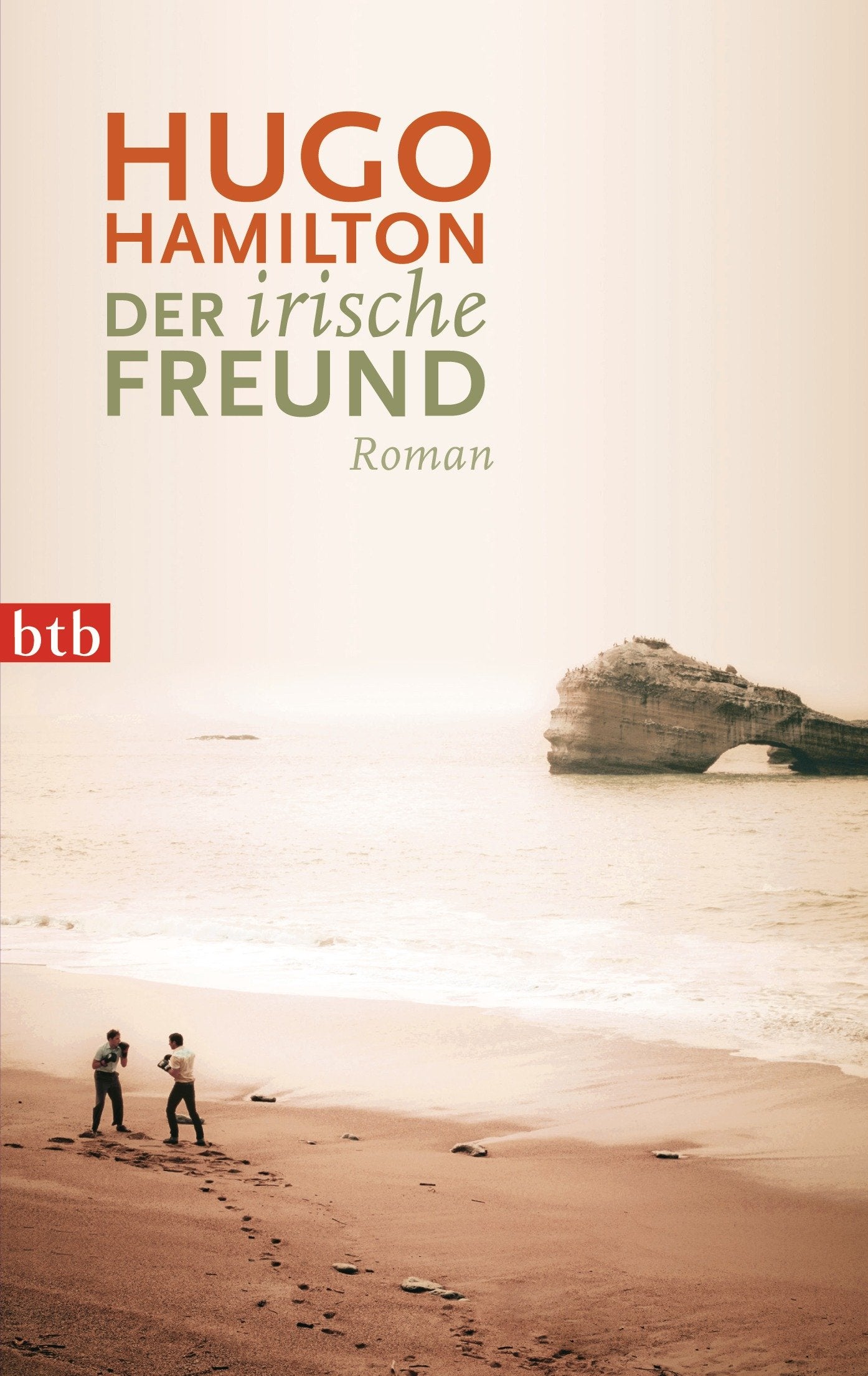 Product Image: Der irische Freund