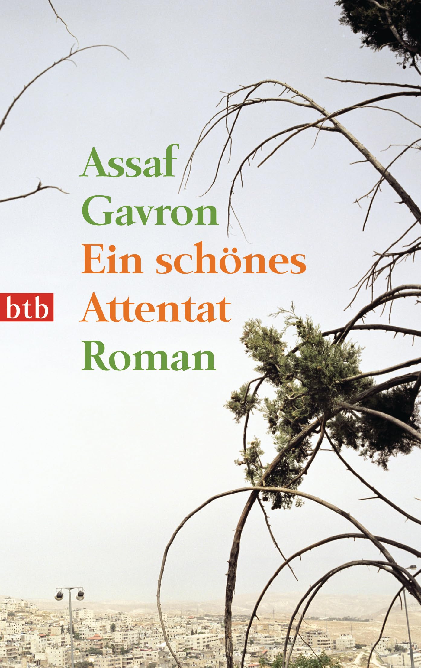 Ein schönes Attentat Contemporary literature Books