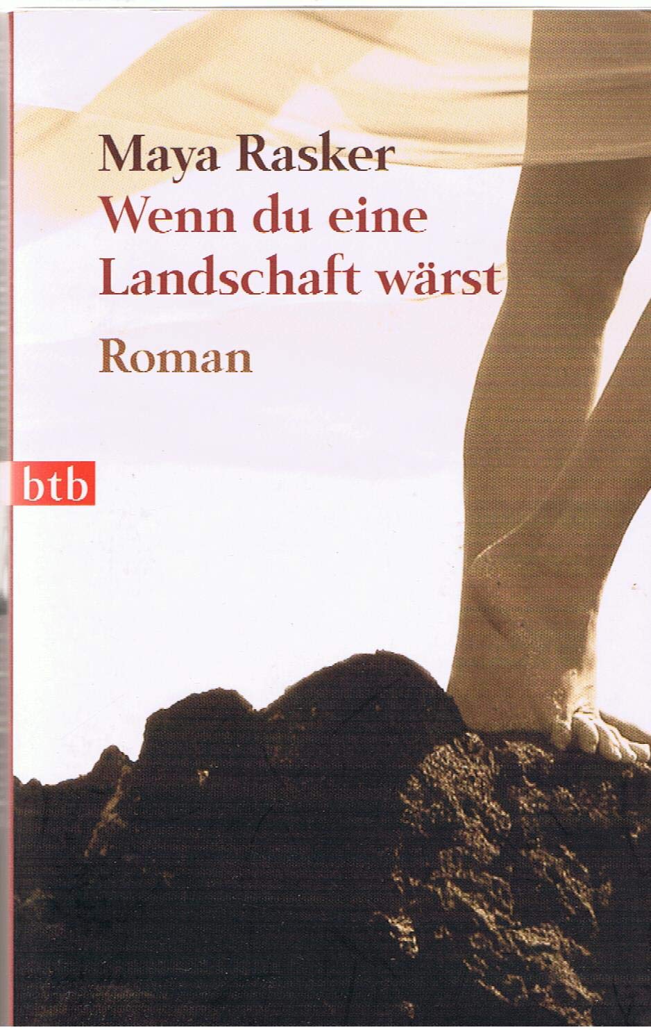 Wenn du eine Landschaft wärst: Roman Books