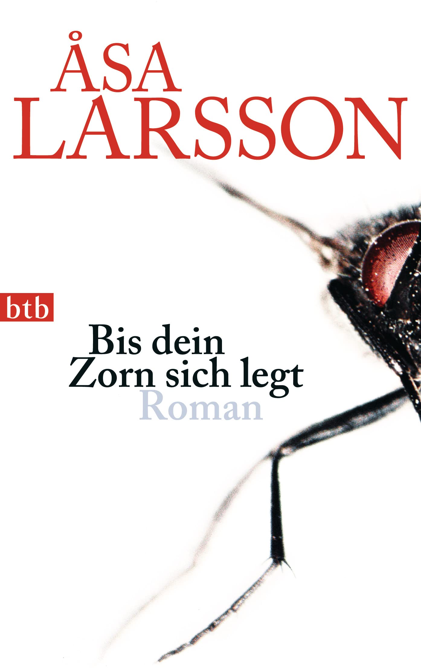 Bis dein Zorn sich legt Contemporary literature
