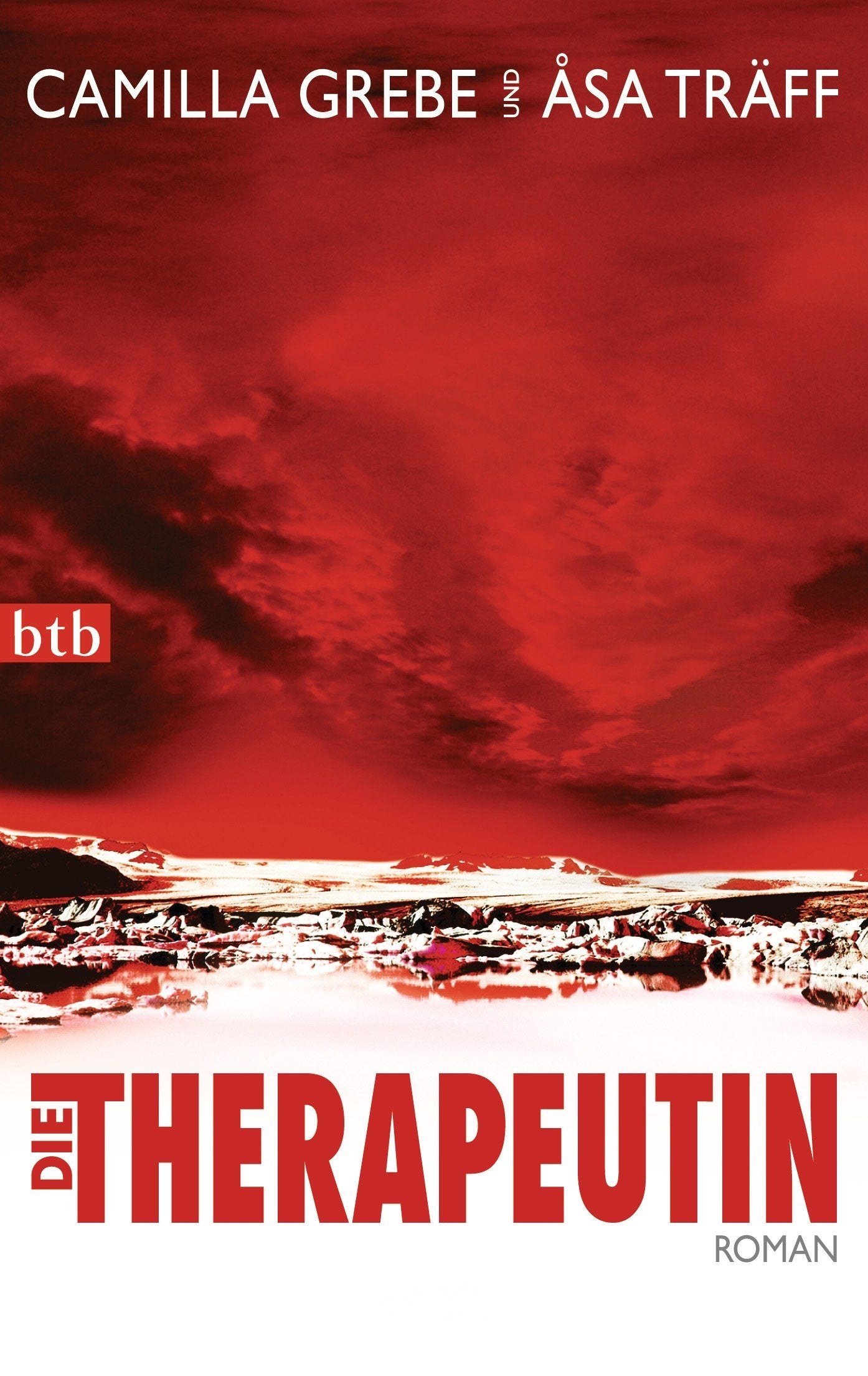 Die Therapeutin Contemporary literature Books