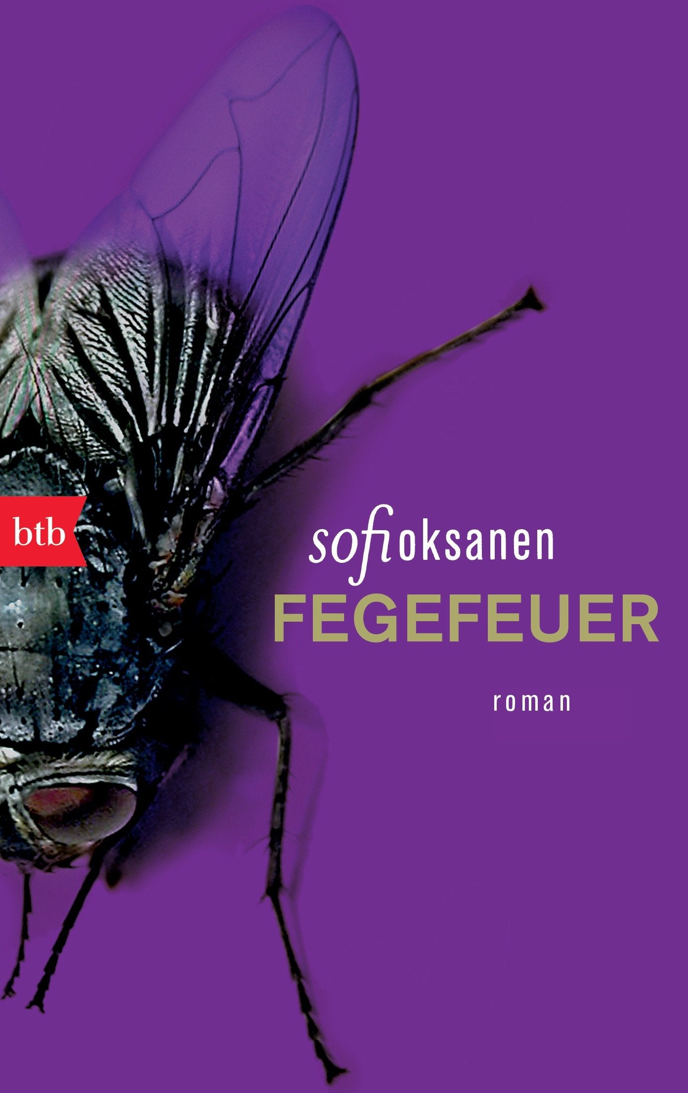 Product Image: Fegefeuer