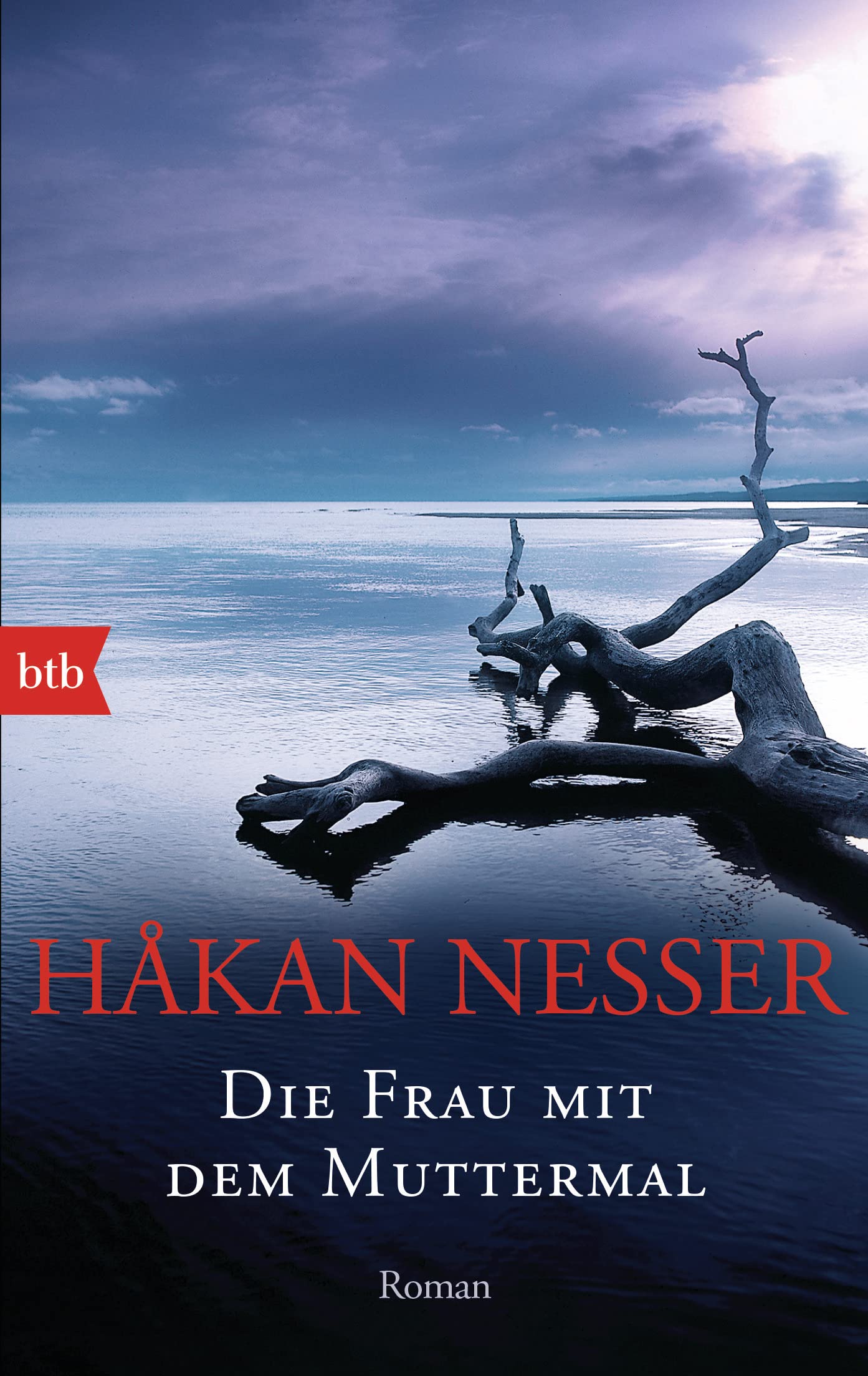 Die Frau mit dem Muttermal Action & Adventure