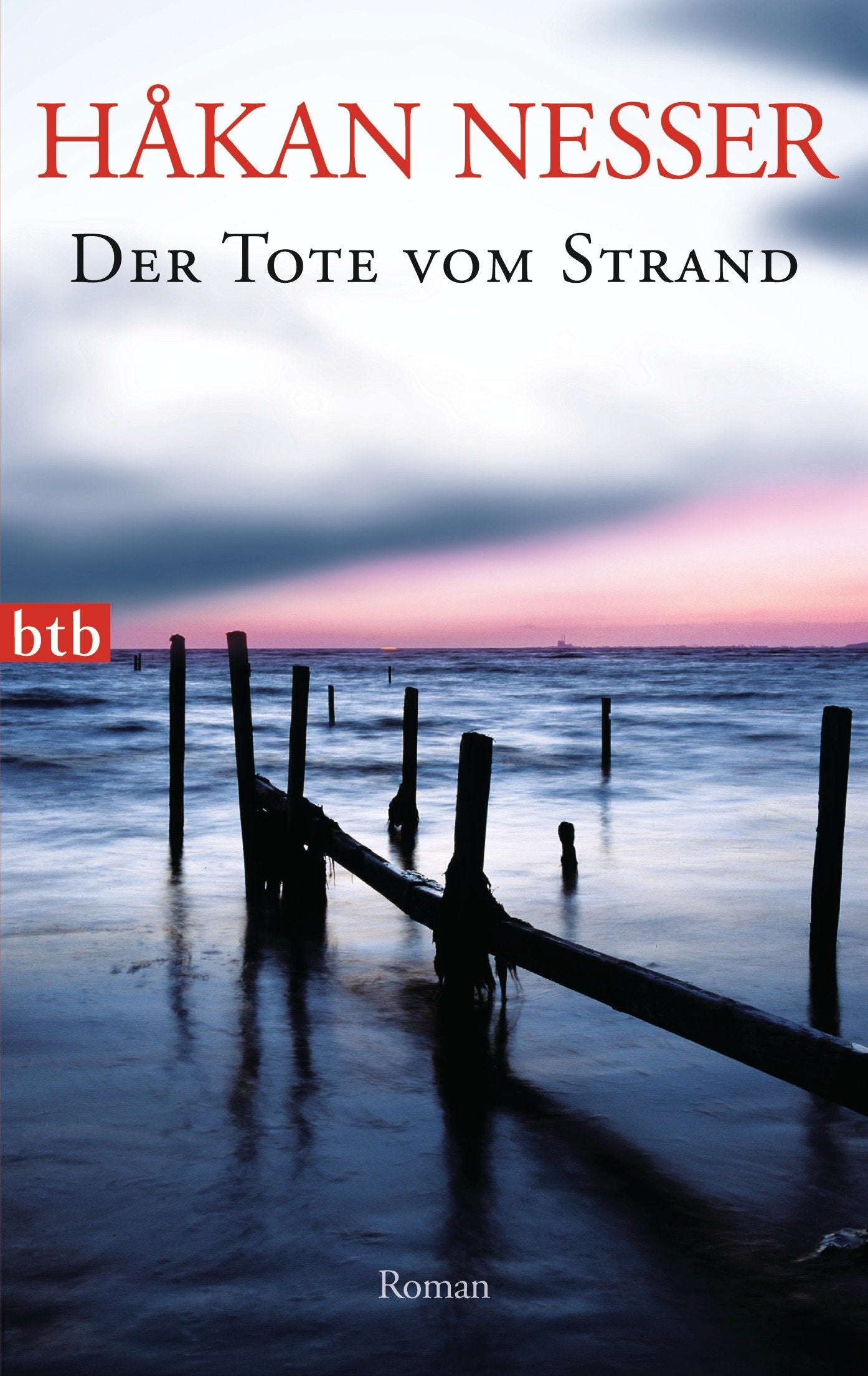 Der Tote vom Strand Contemporary literature Books