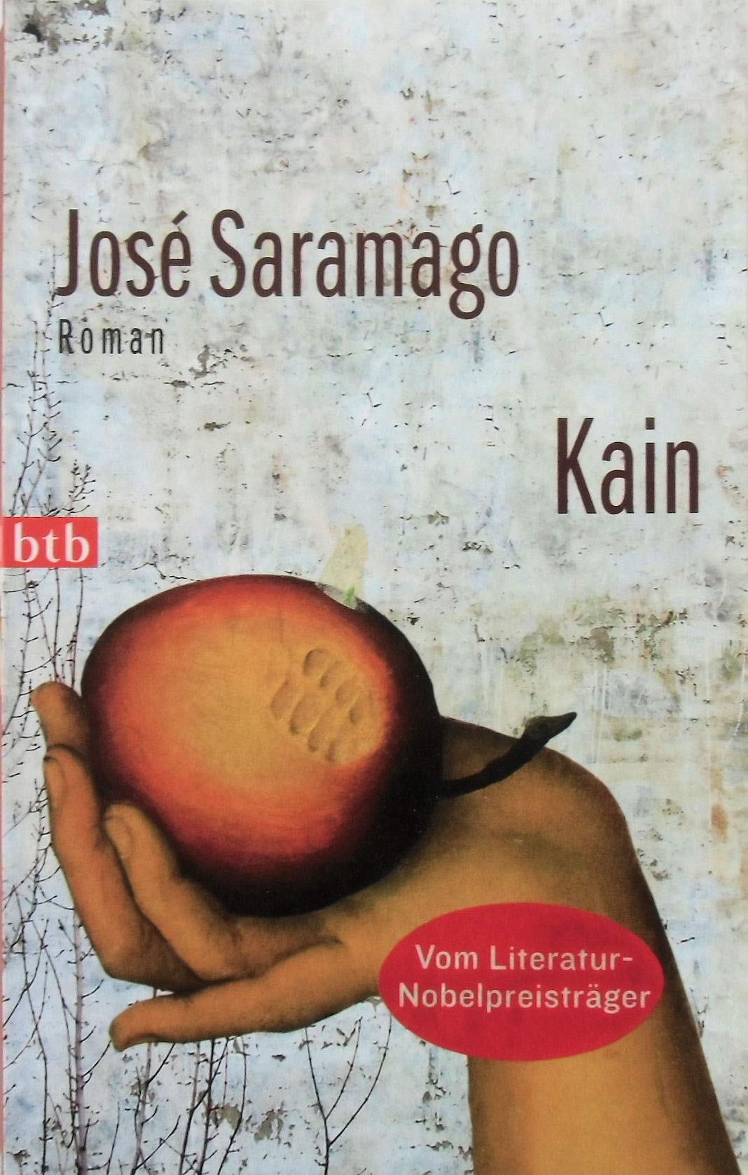 Kain Contemporary literature Books