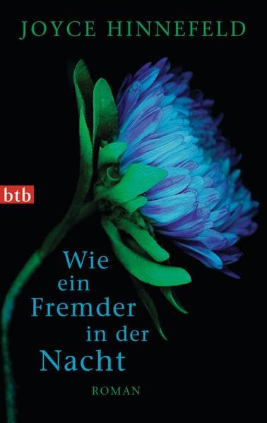 Wie ein Fremder in der Nacht: Roman Contemporary literature