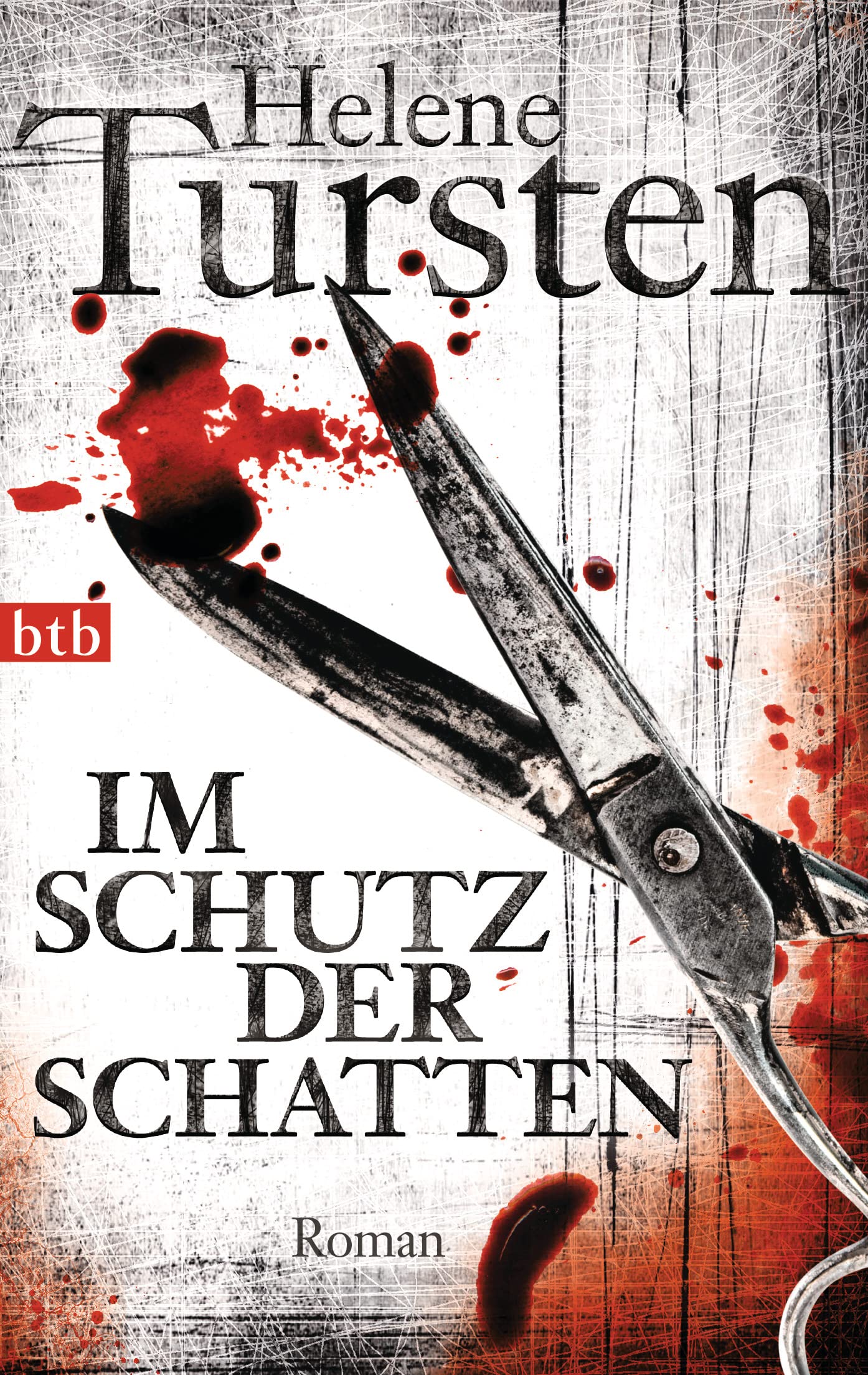 Im Schutz der Schatten Contemporary literature Books