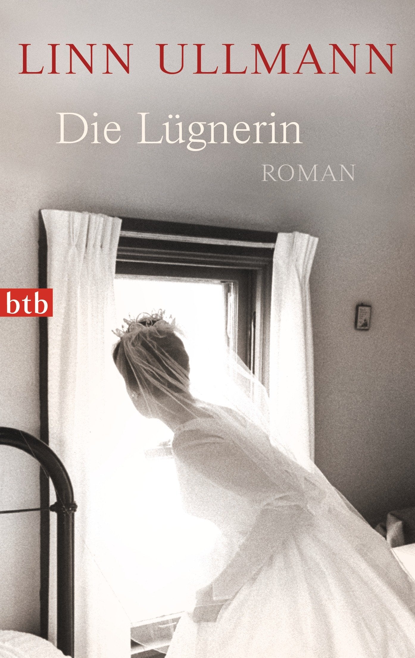 Die Lügnerin Contemporary literature Books
