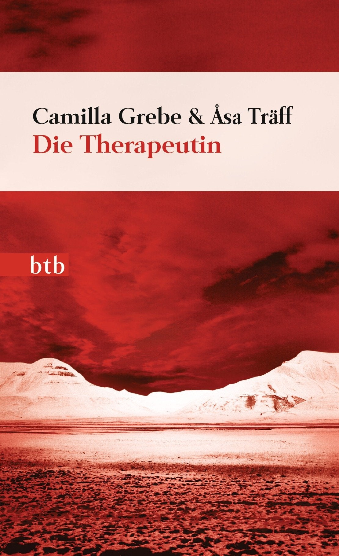 Die Therapeutin Contemporary literature Books