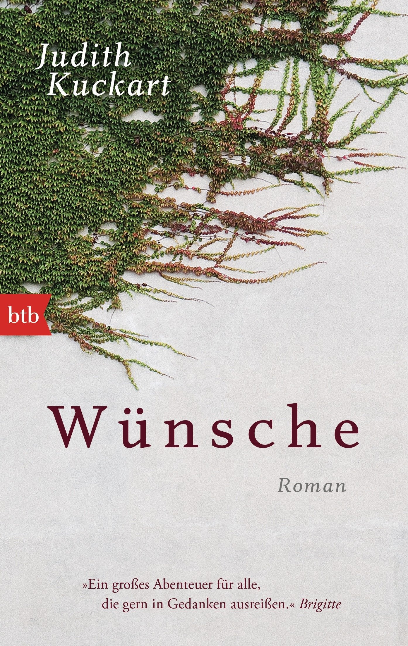 Wünsche Contemporary literature Books