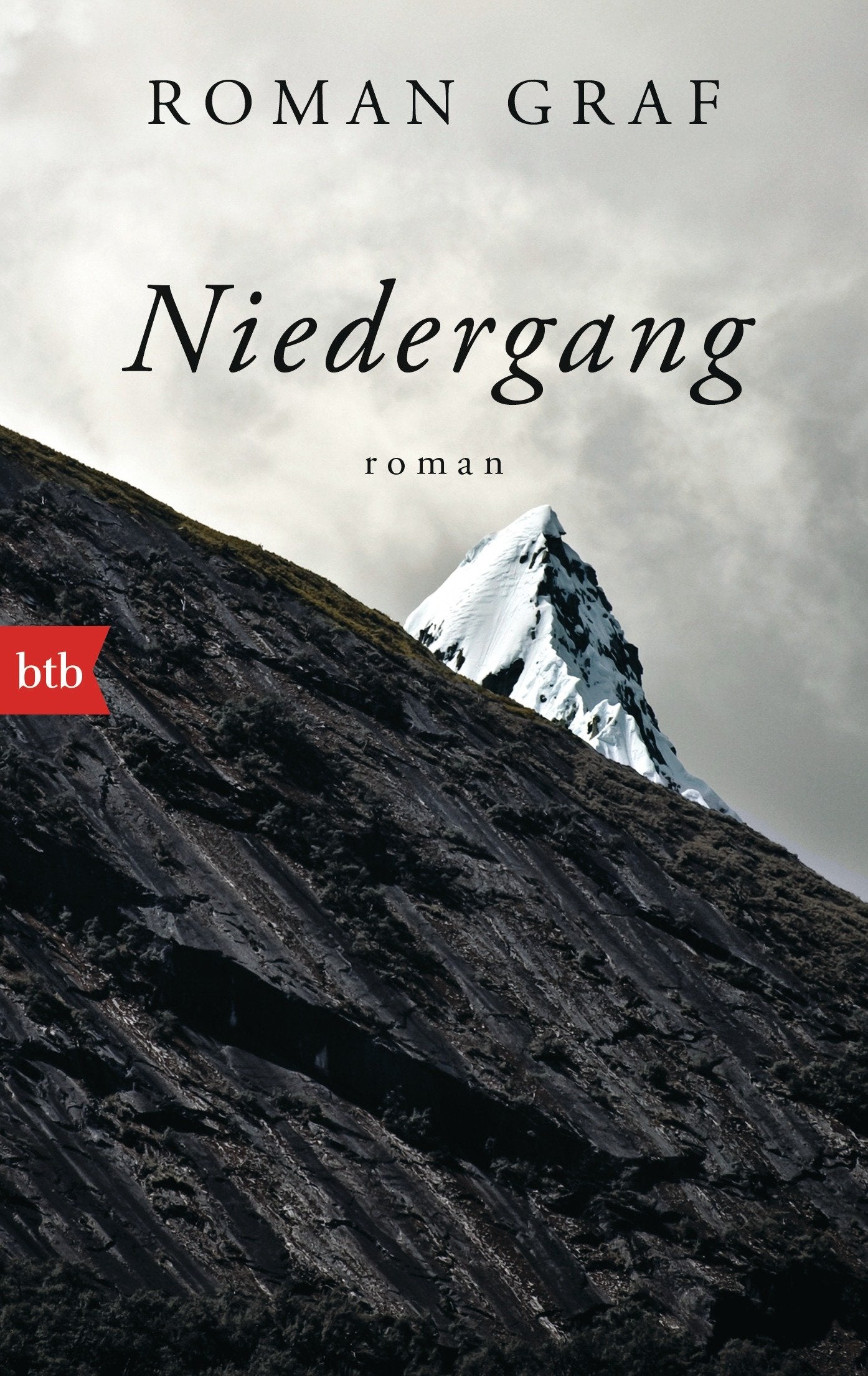 Niedergang Contemporary literature Books