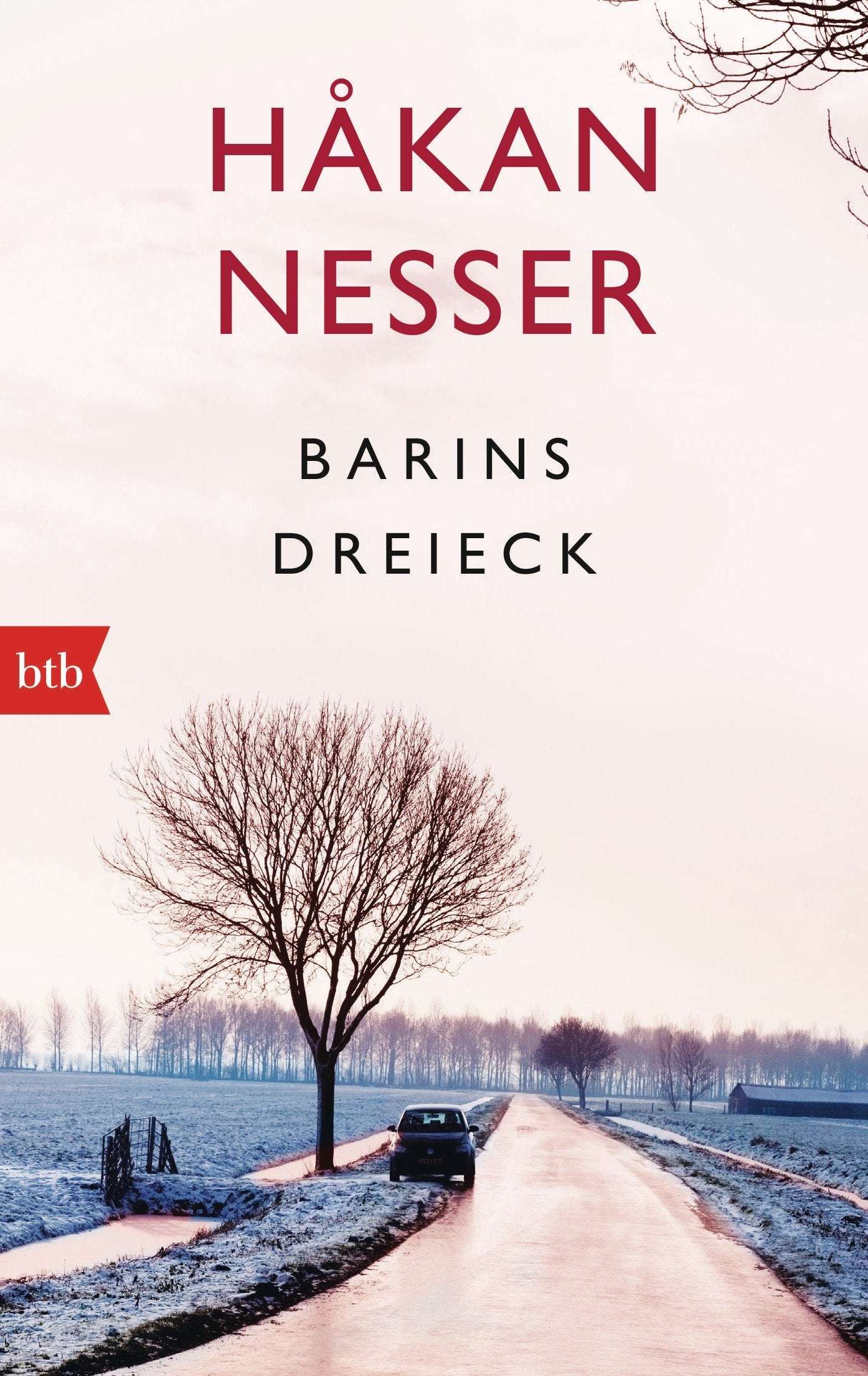 Barins Dreieck Essays & Short Stories