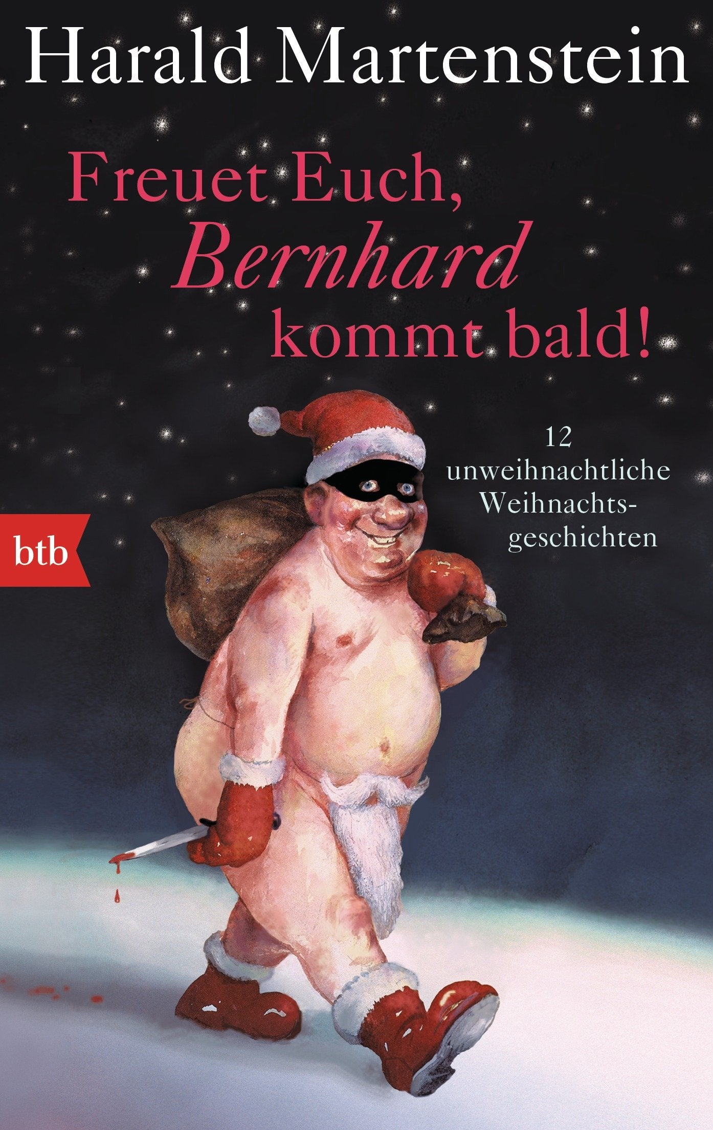 Freuet Euch, Bernhard kommt bald! Essays & Short Stories