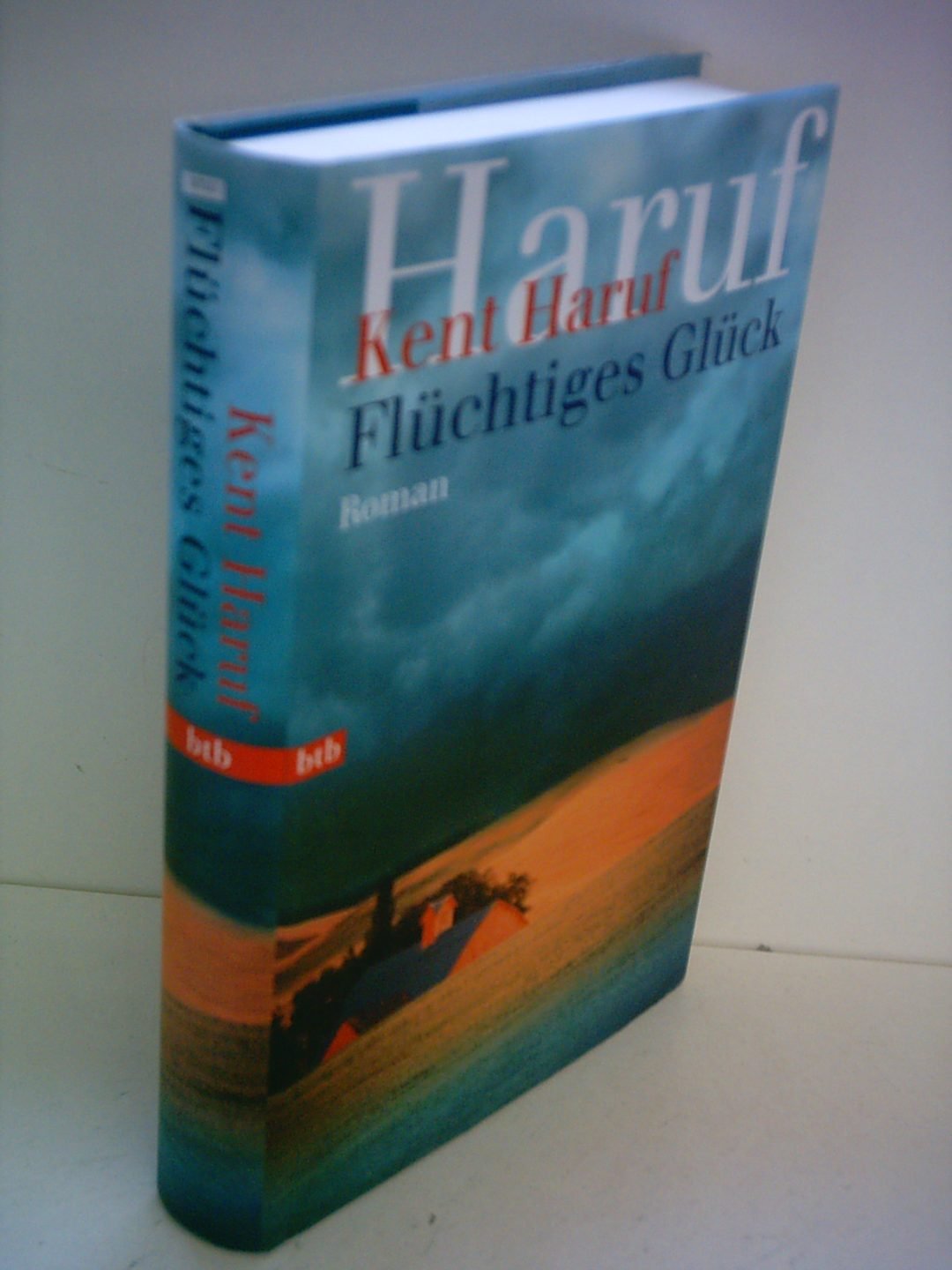 Flüchtiges Glück Books