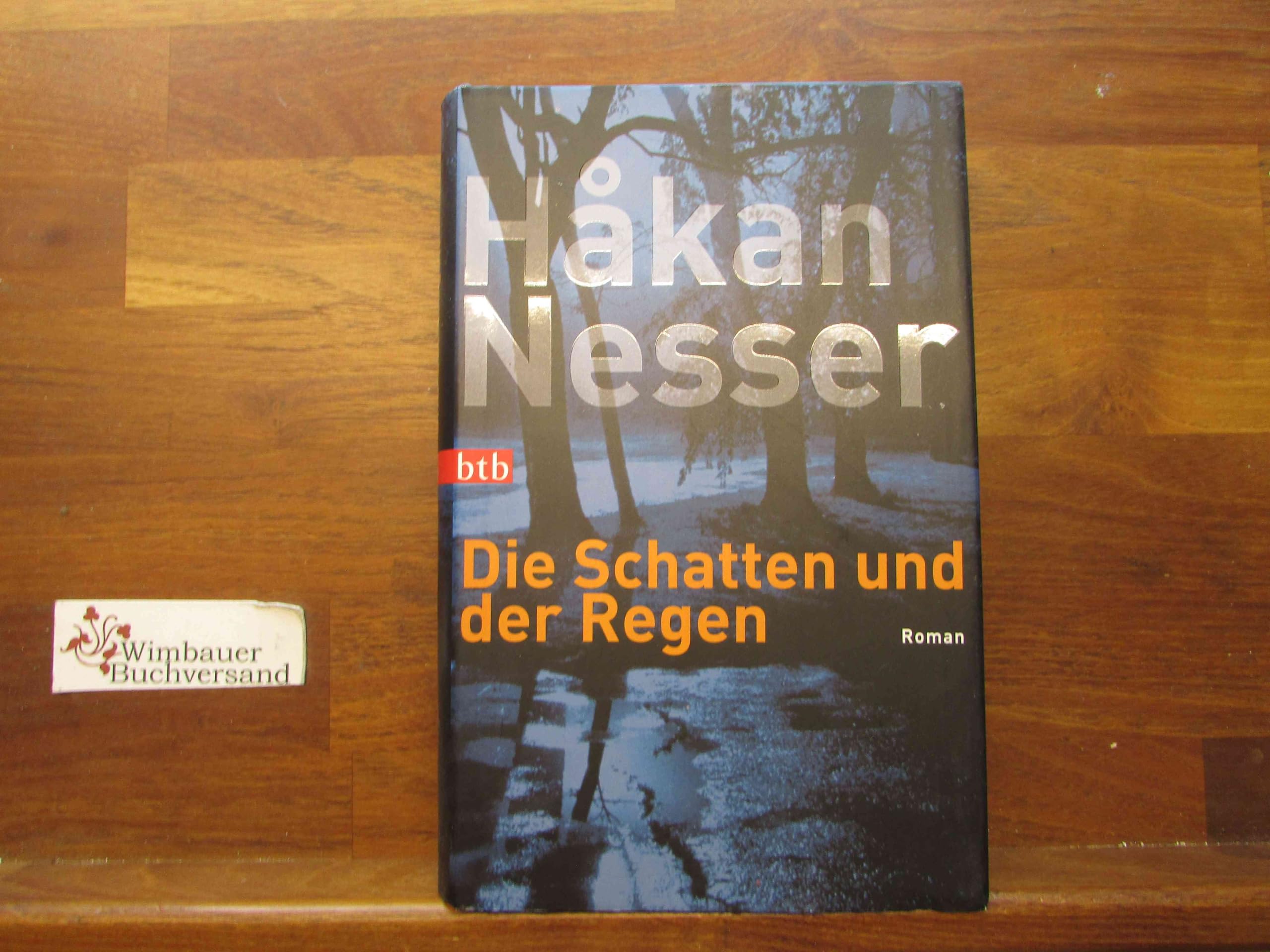 Die Schatten und der Regen: Roman Contemporary literature