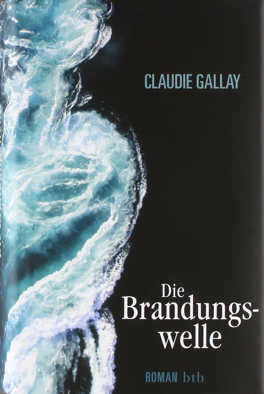 Die Brandungswelle: Roman: Roman. Ausgezeichnet mit dem Grand Prix des lectrices de Elle 2009 Contemporary literature Books