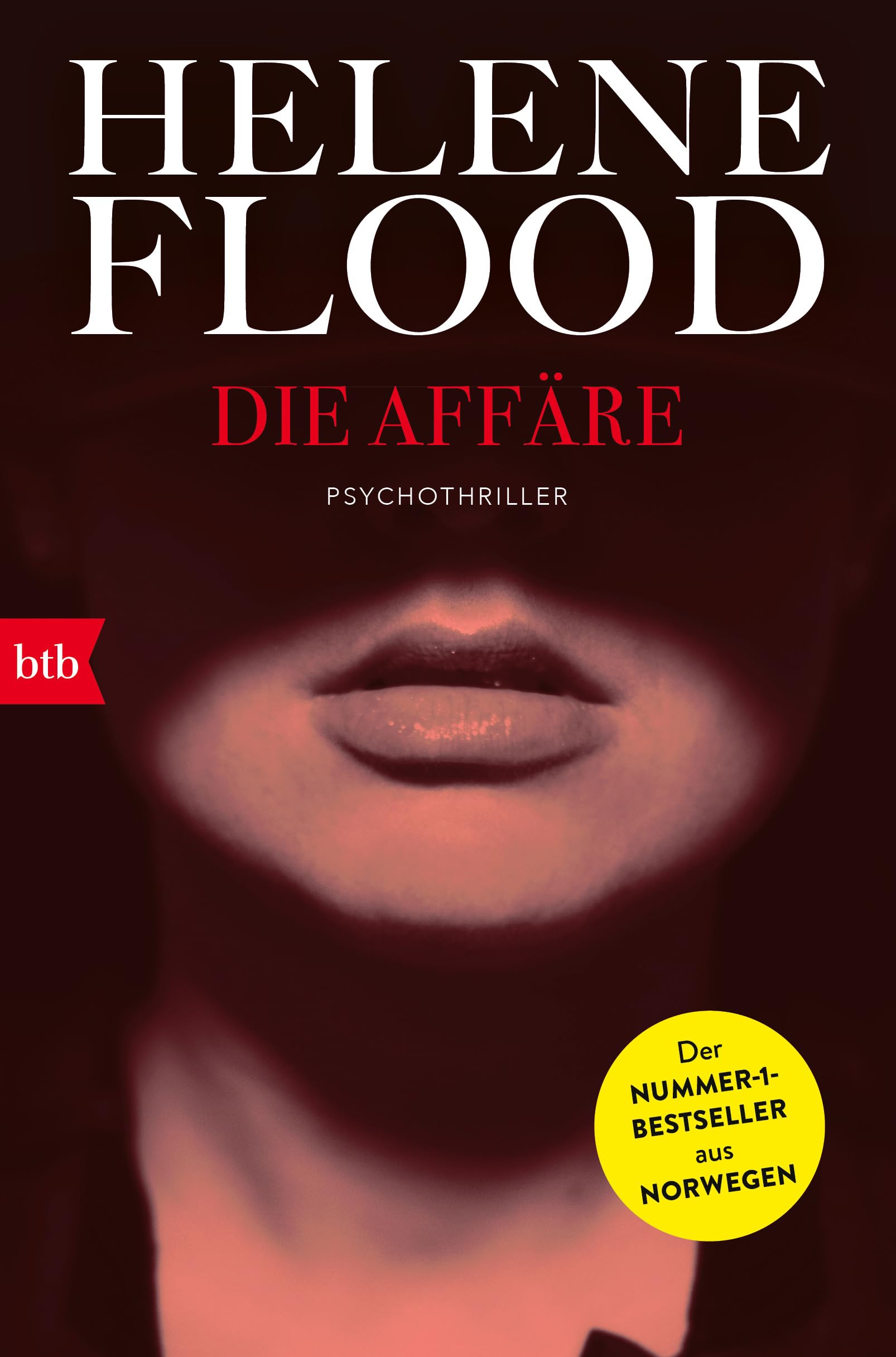 Die Affäre Contemporary literature Books
