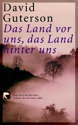 Das Land vor uns, das Land hinter uns: Erzählungen Contemporary literature