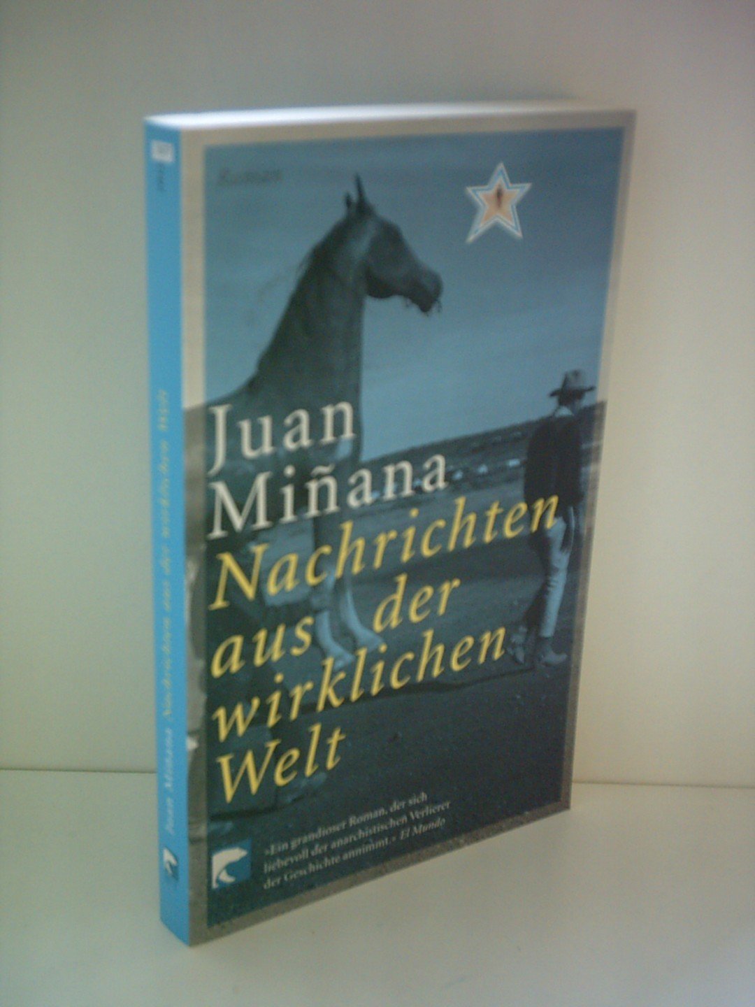 Nachrichten aus der wirklichen Welt Contemporary literature