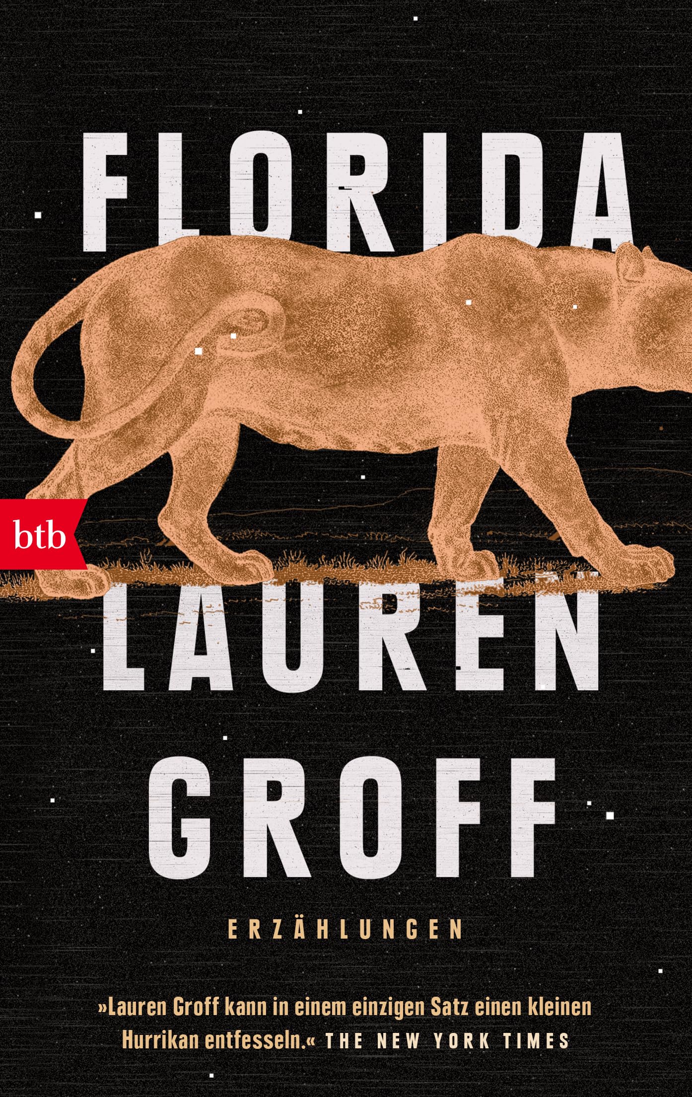 Florida Essays & Short Stories