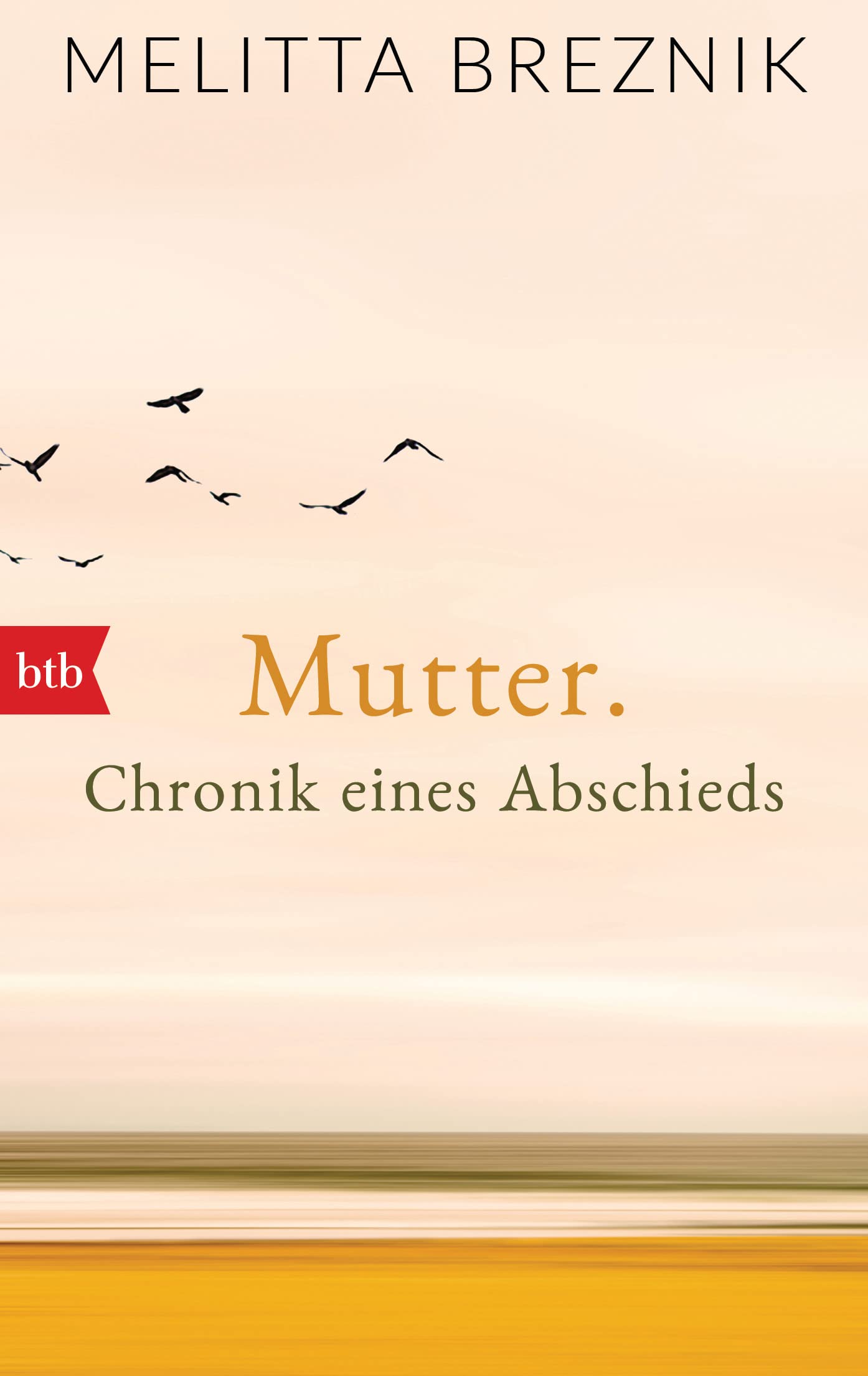 Mutter: Chronik eines Abschieds Contemporary literature