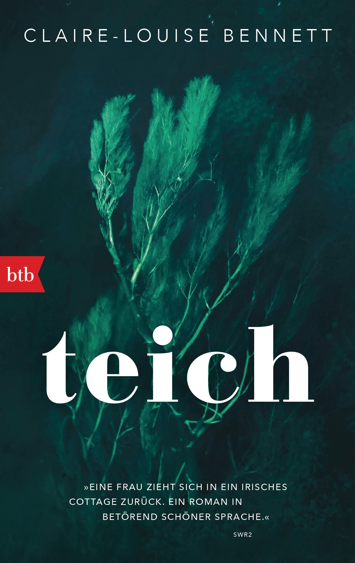 Teich Contemporary literature Books