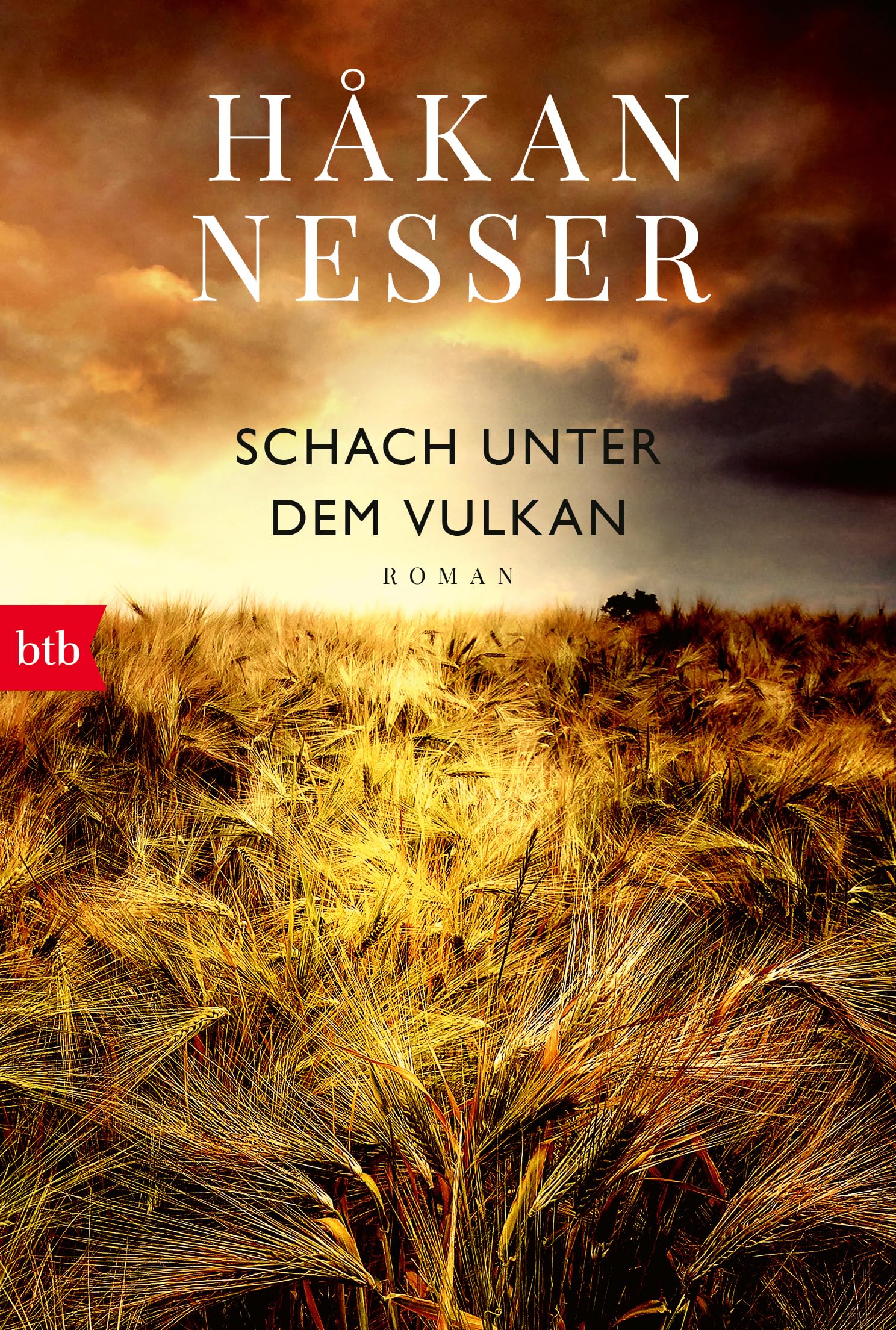 Schach unter dem Vulkan Contemporary literature Books