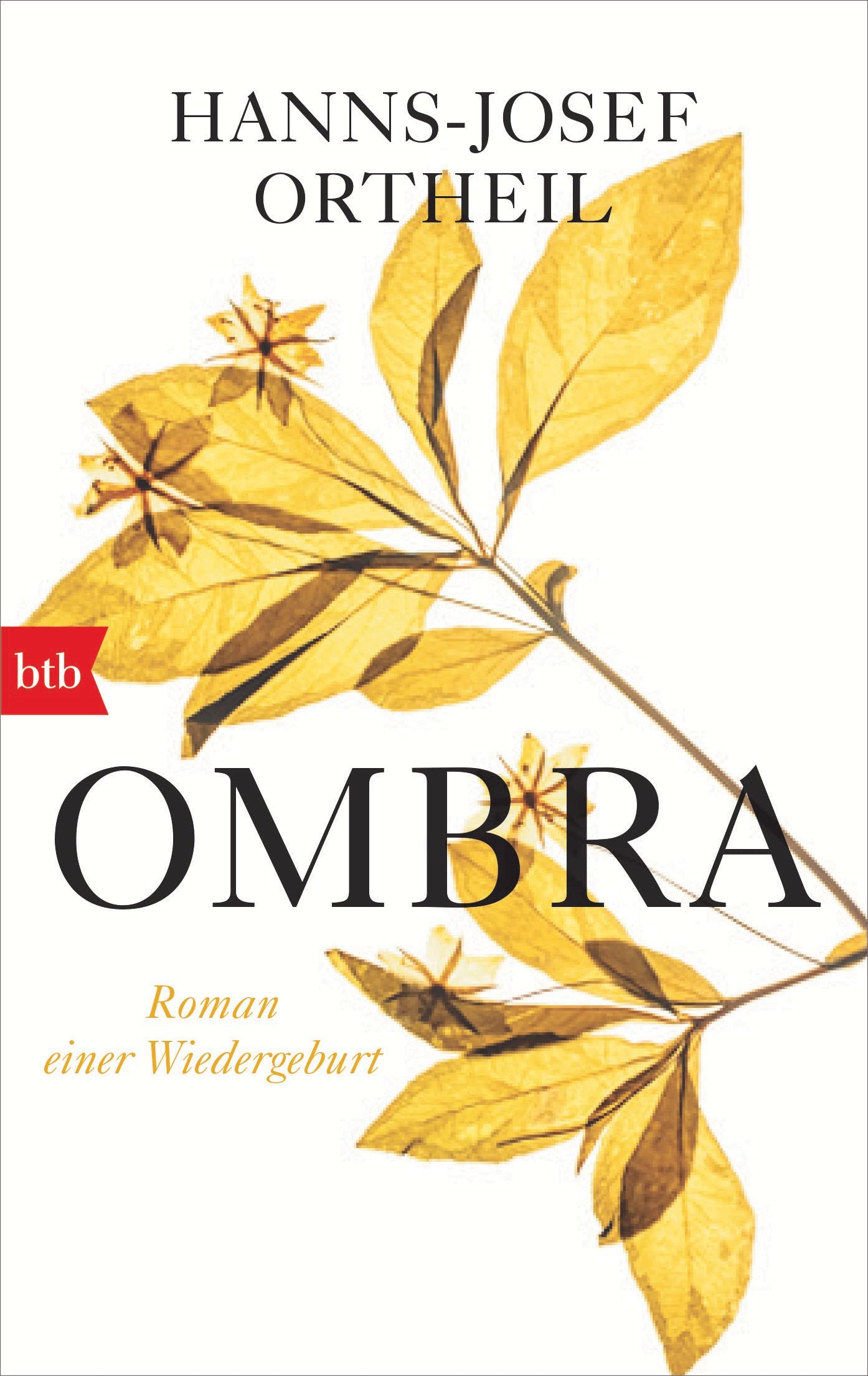 Product Image: OMBRA