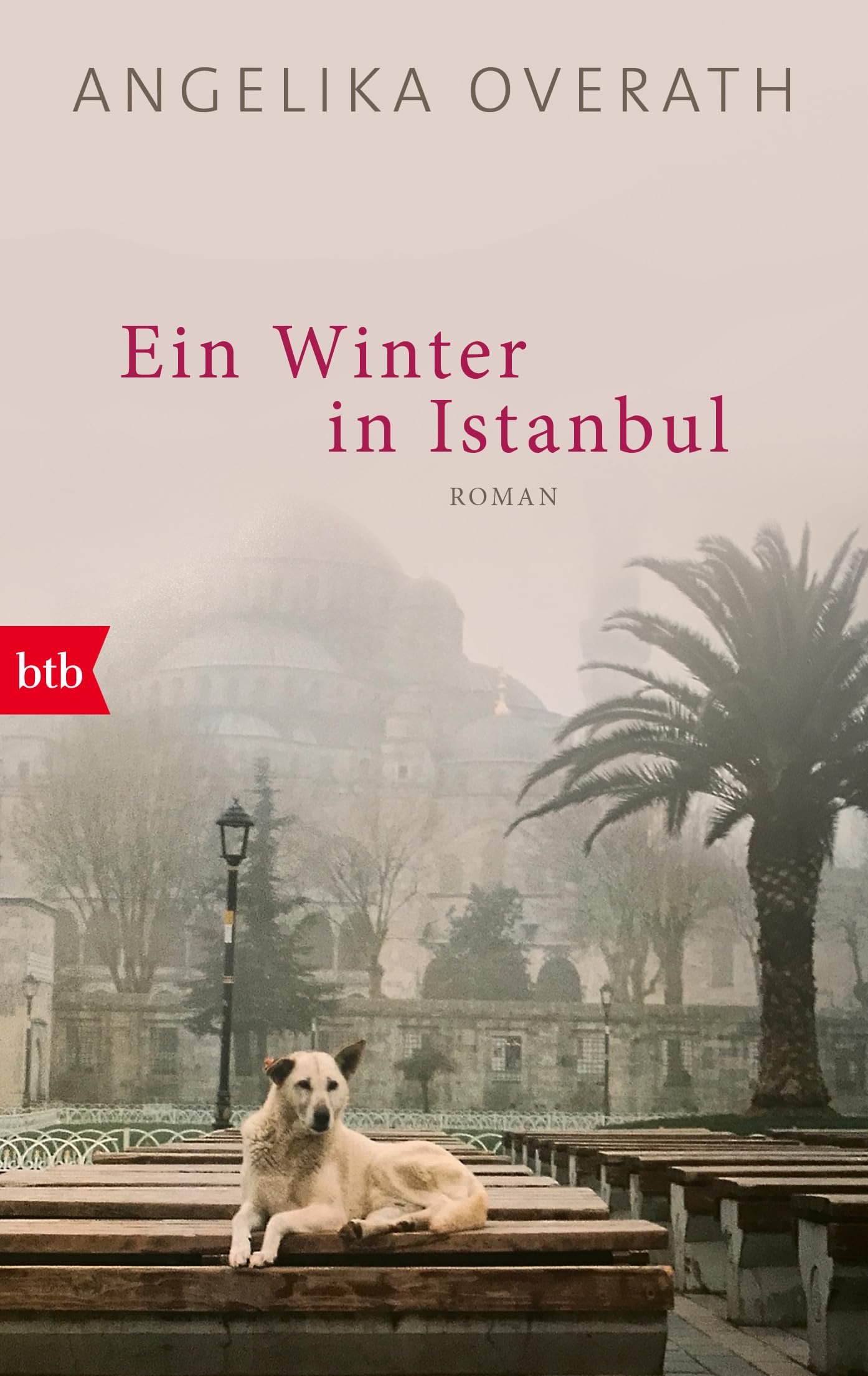 Ein Winter in Istanbul Contemporary literature Books
