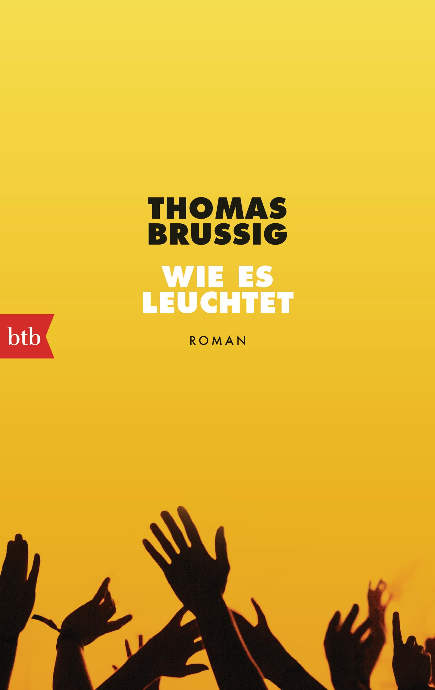 Wie es leuchtet Contemporary literature Books