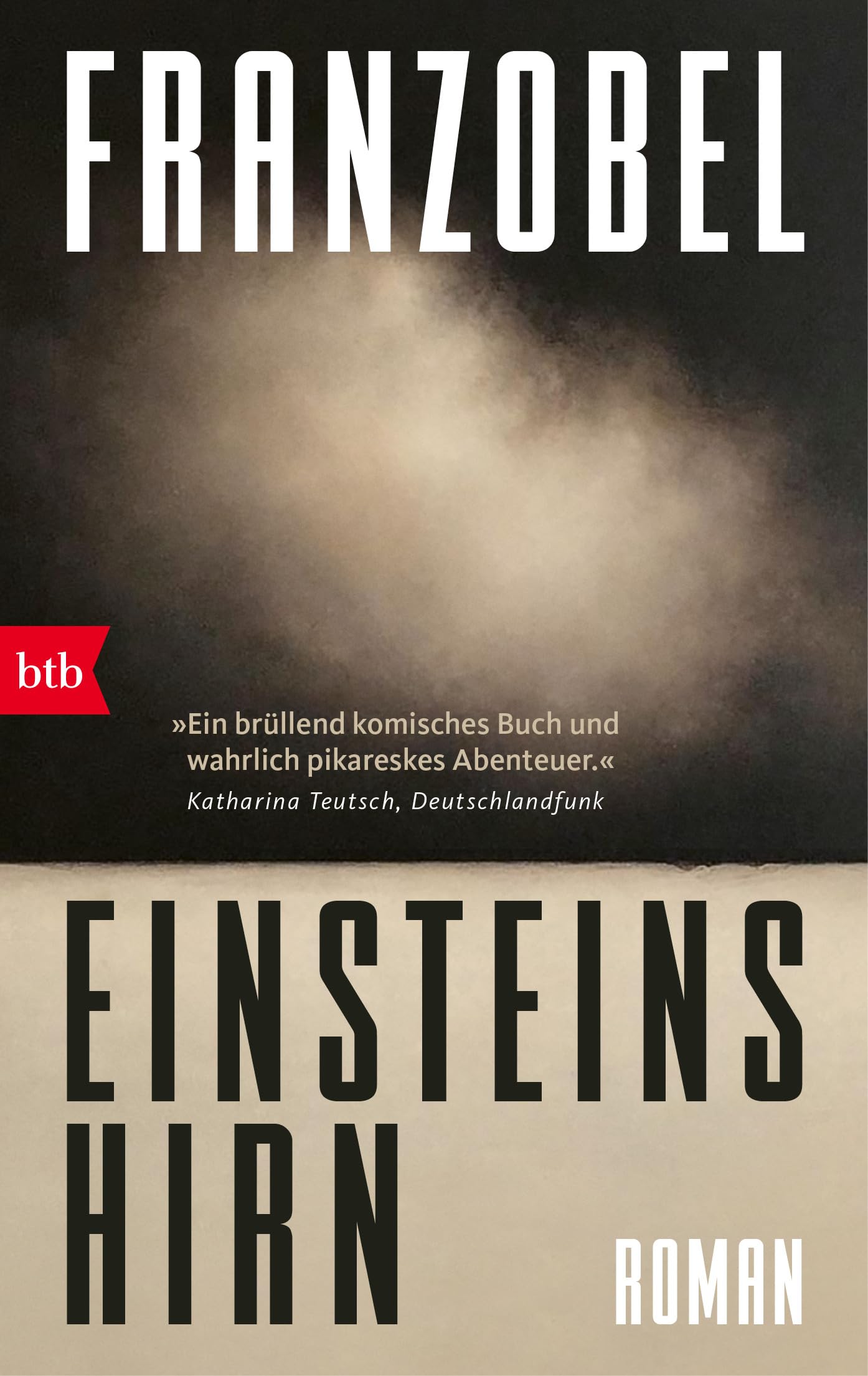 Einsteins Hirn Contemporary literature Books