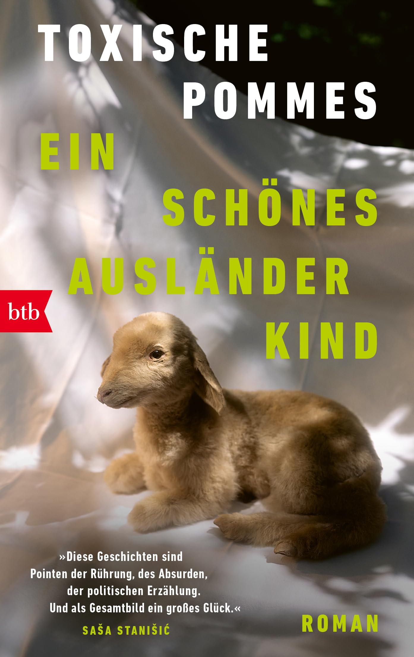 Ein schönes Ausländerkind Contemporary literature