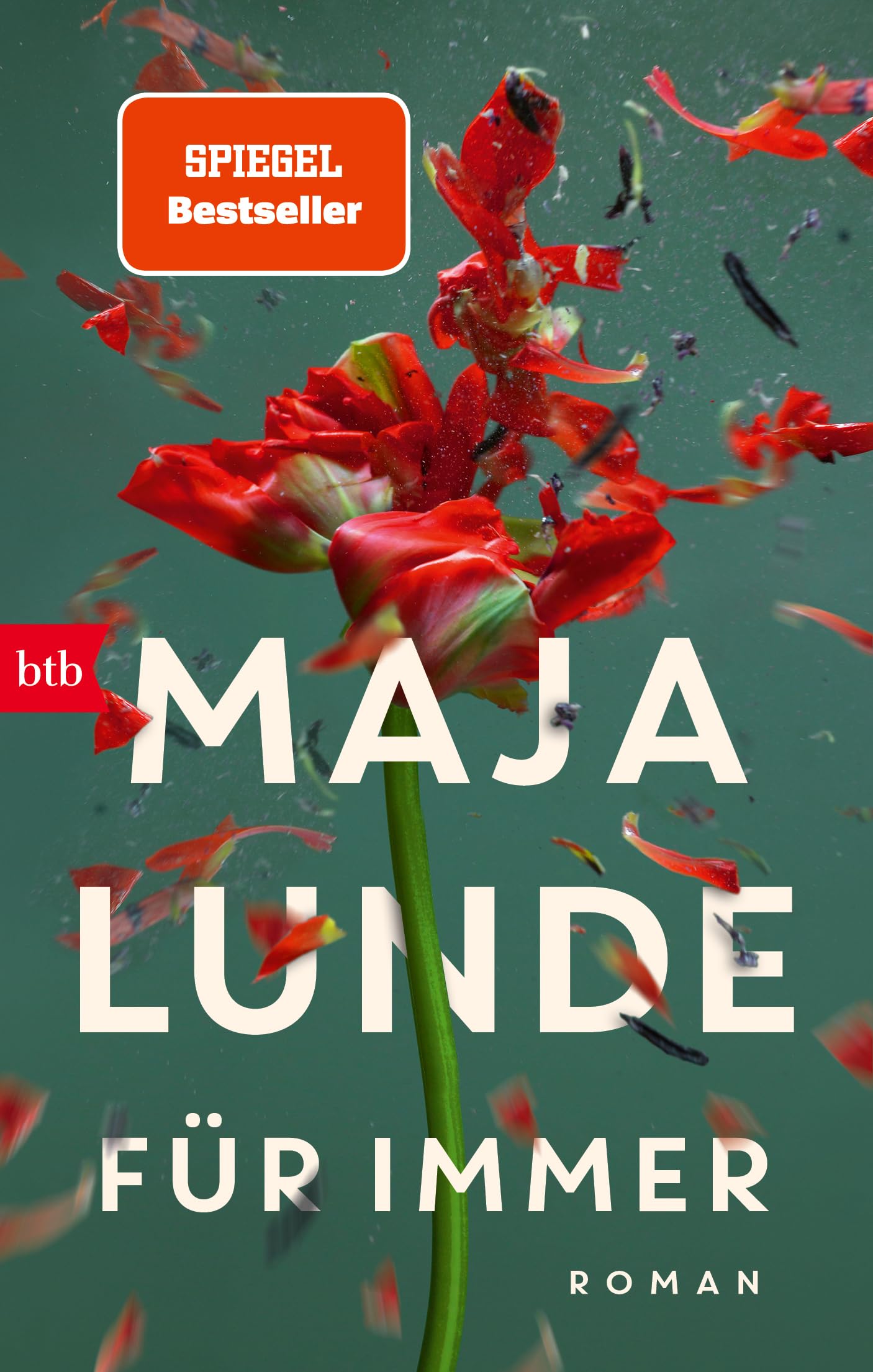 Für immer Contemporary literature Books