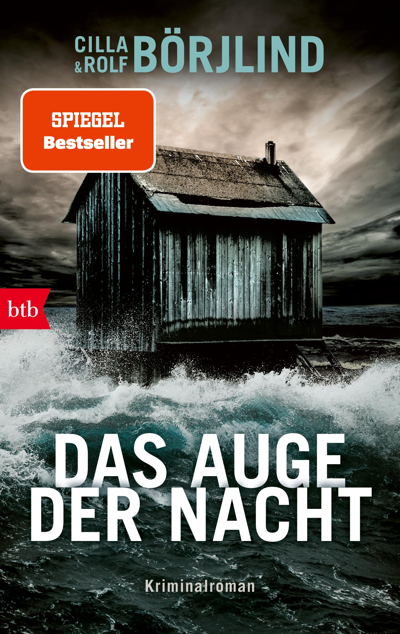 Das Auge der Nacht: Kriminalroman (Die Rönning/Stilton-Serie, Band 8) Contemporary literature