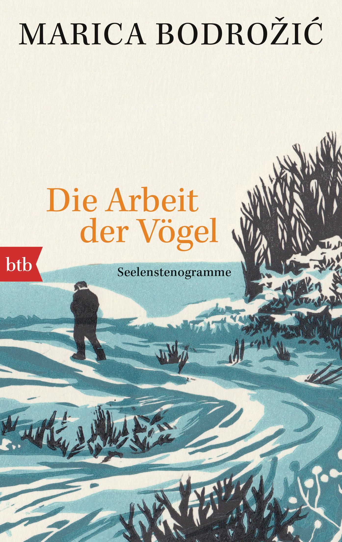 Die Arbeit der Vögel: Seelenstenogramme Contemporary literature